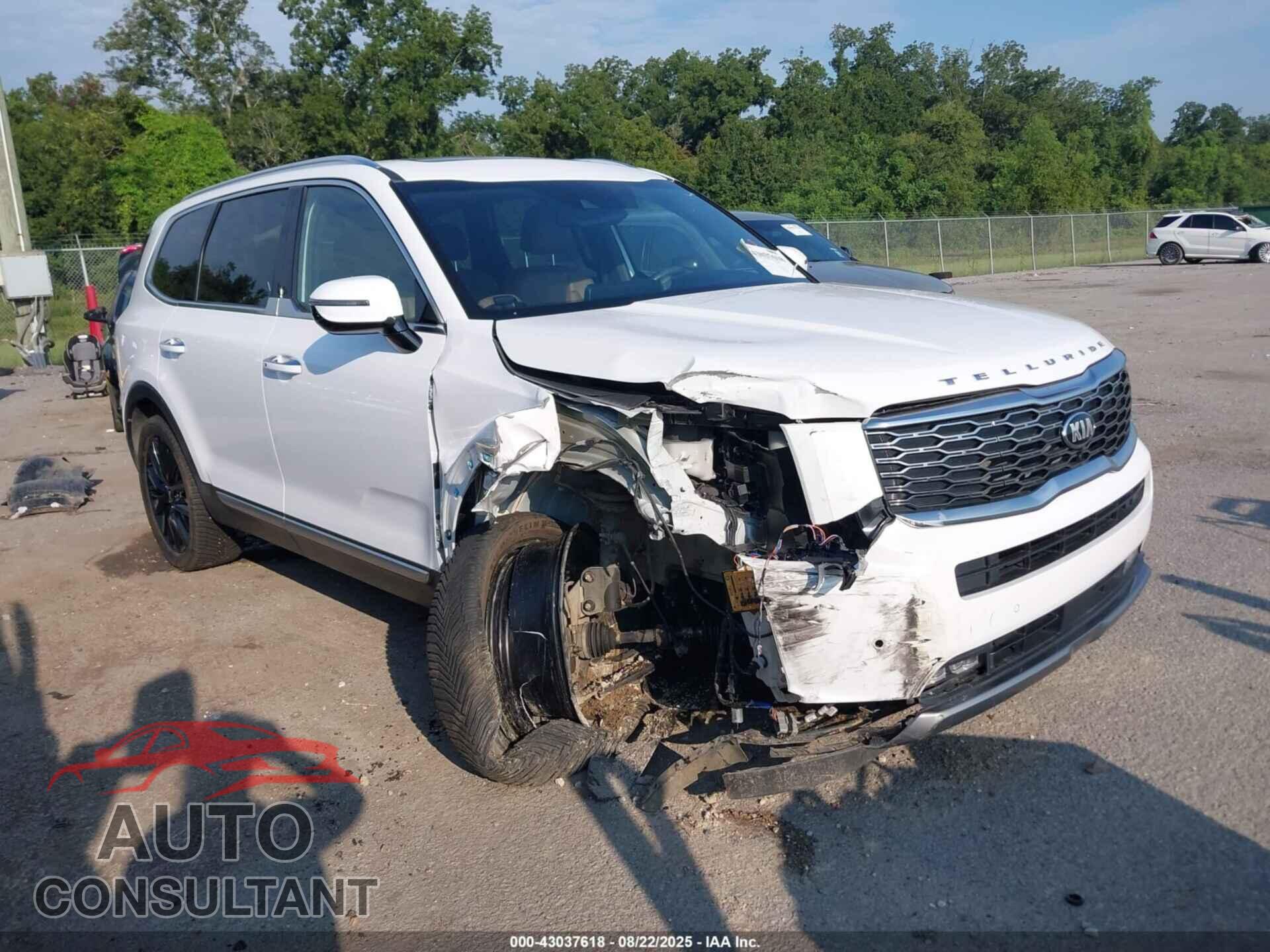 KIA TELLURIDE 2021 - 5XYP5DHC4MG157486