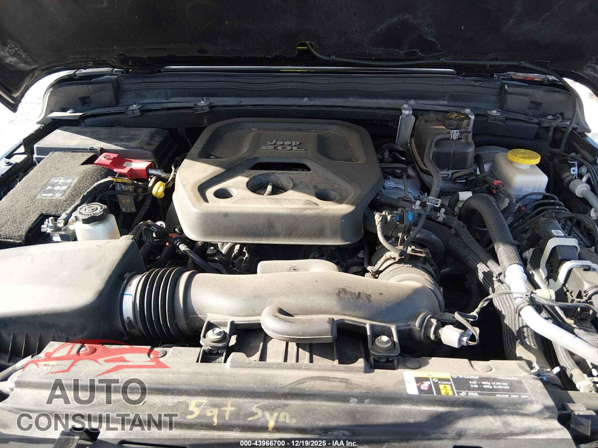 JEEP WRANGLER 2020 - 1C4HJXEN9LW348040