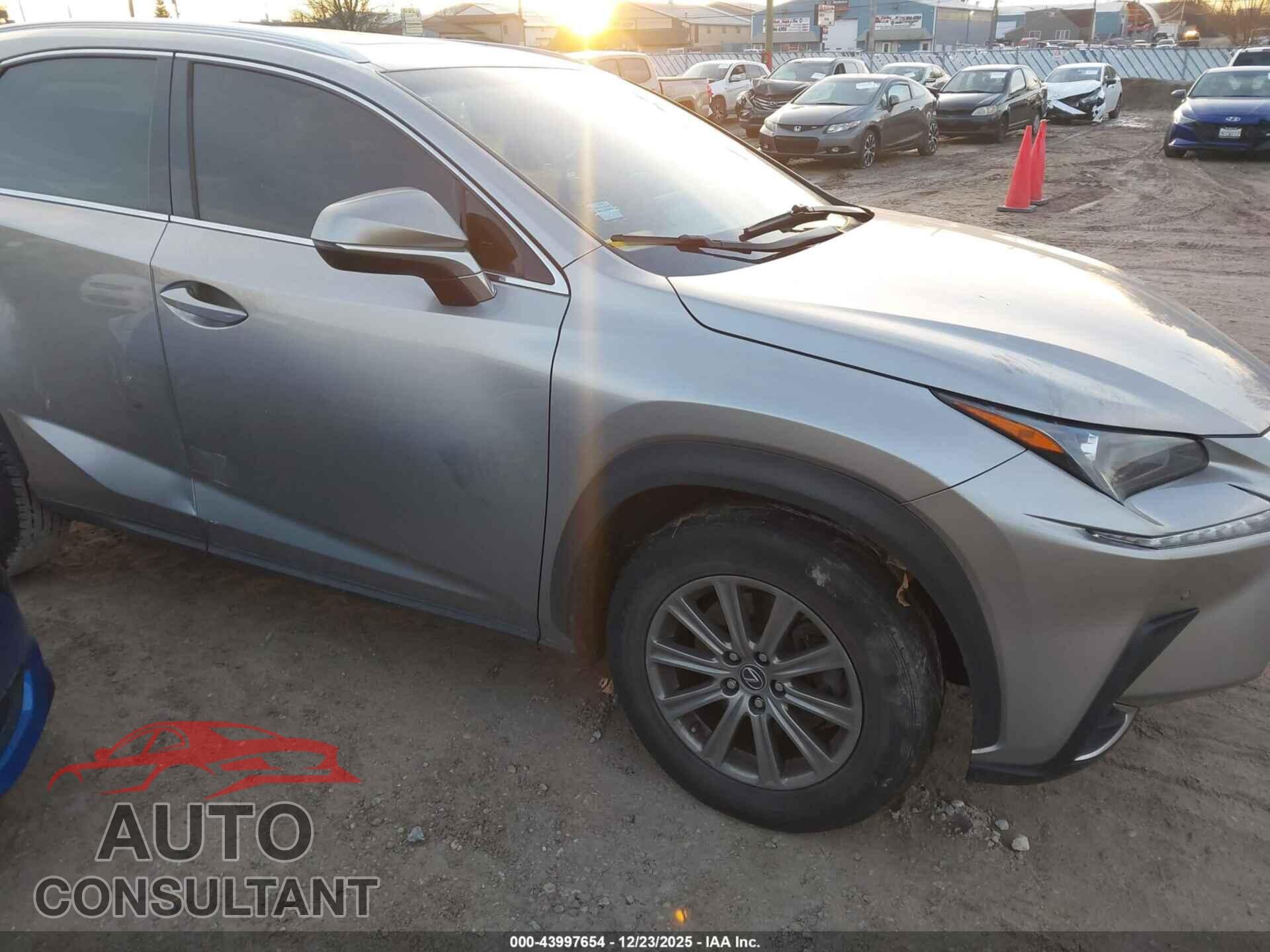 LEXUS NX 300 2019 - JTJBARBZ3K2204897