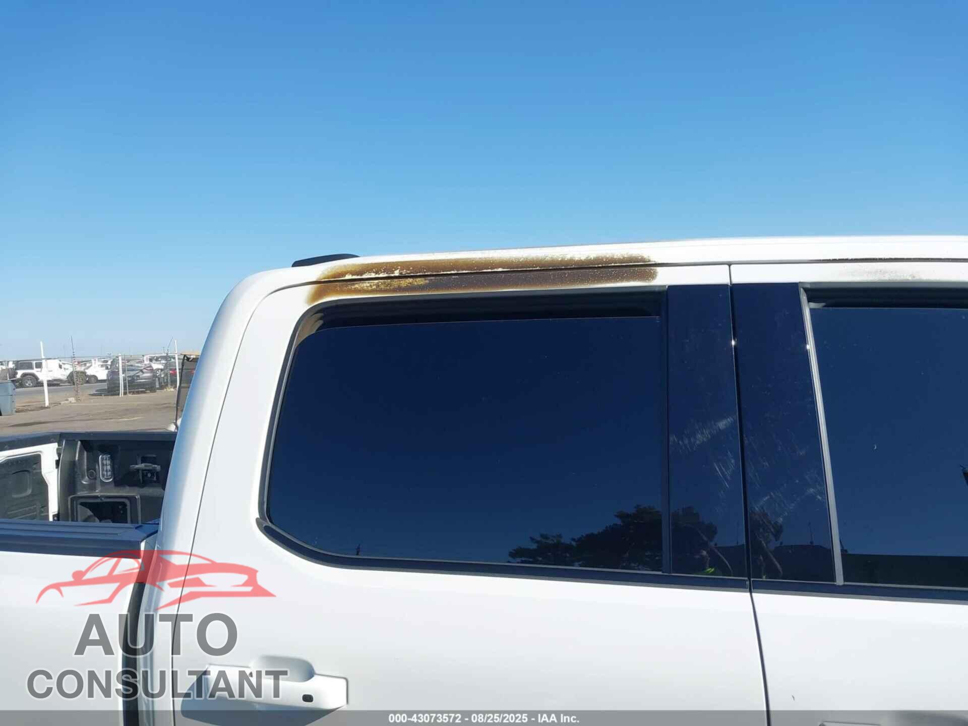 FORD F-150 LIGHTNING 2023 - 1FT6W1EV1PWG20723