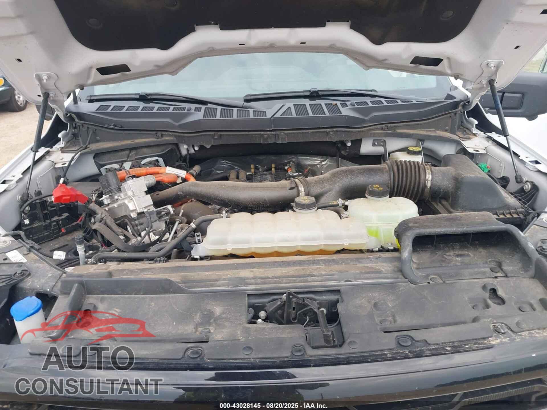 FORD F-150 2024 - 1FTFW3LD6RFA04444