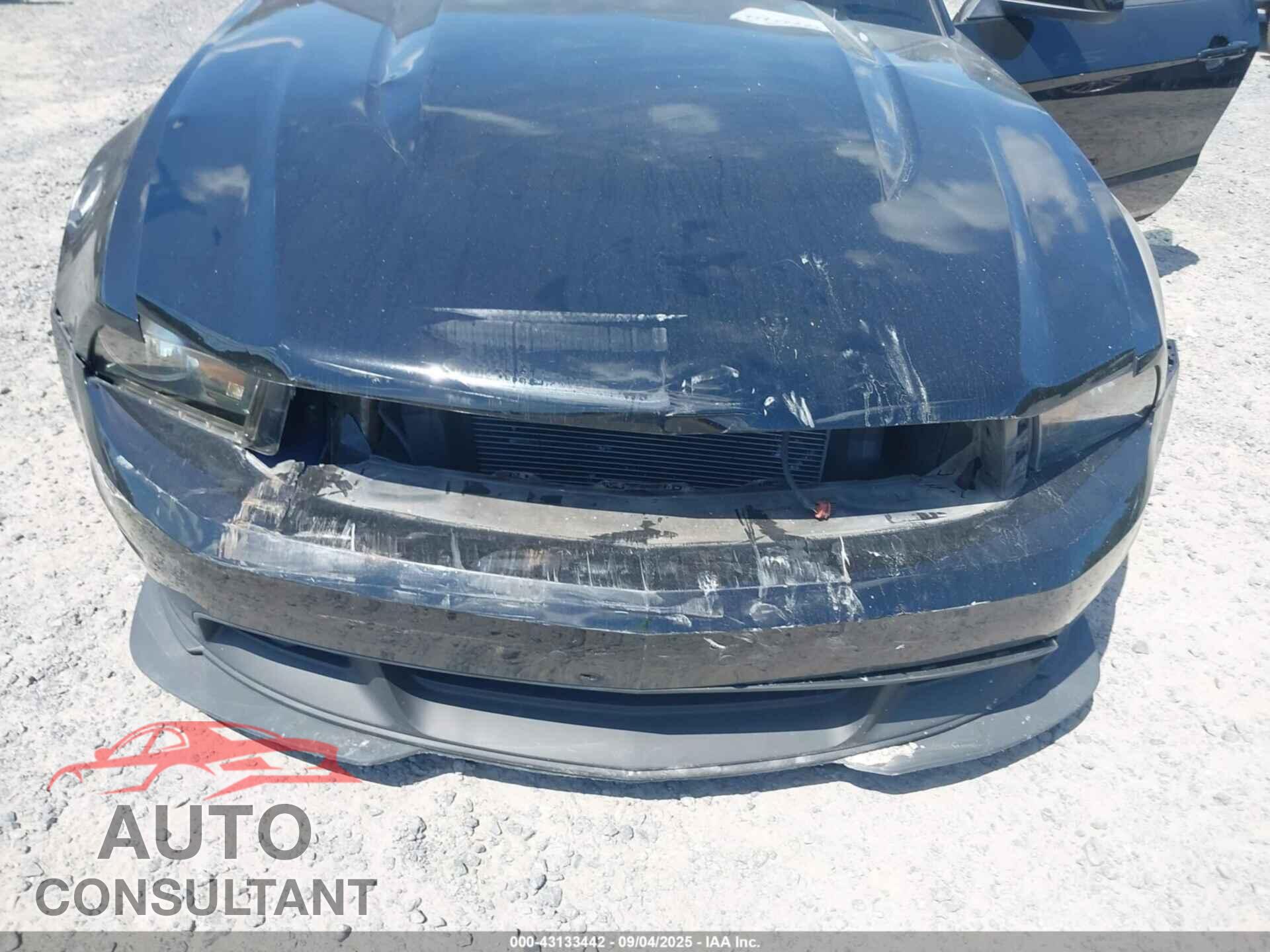 FORD MUSTANG 2011 - 1ZVBP8CFXB5168296