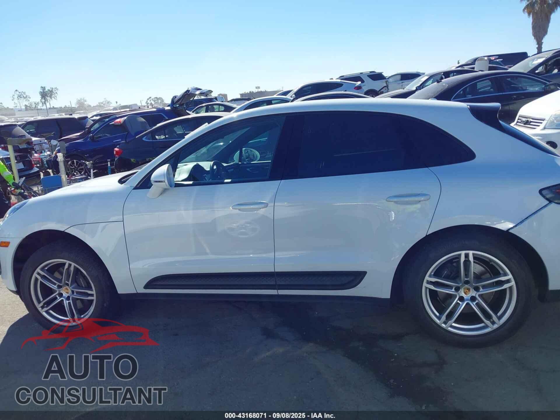 PORSCHE MACAN 2023 - WP1AA2A56PLB09934