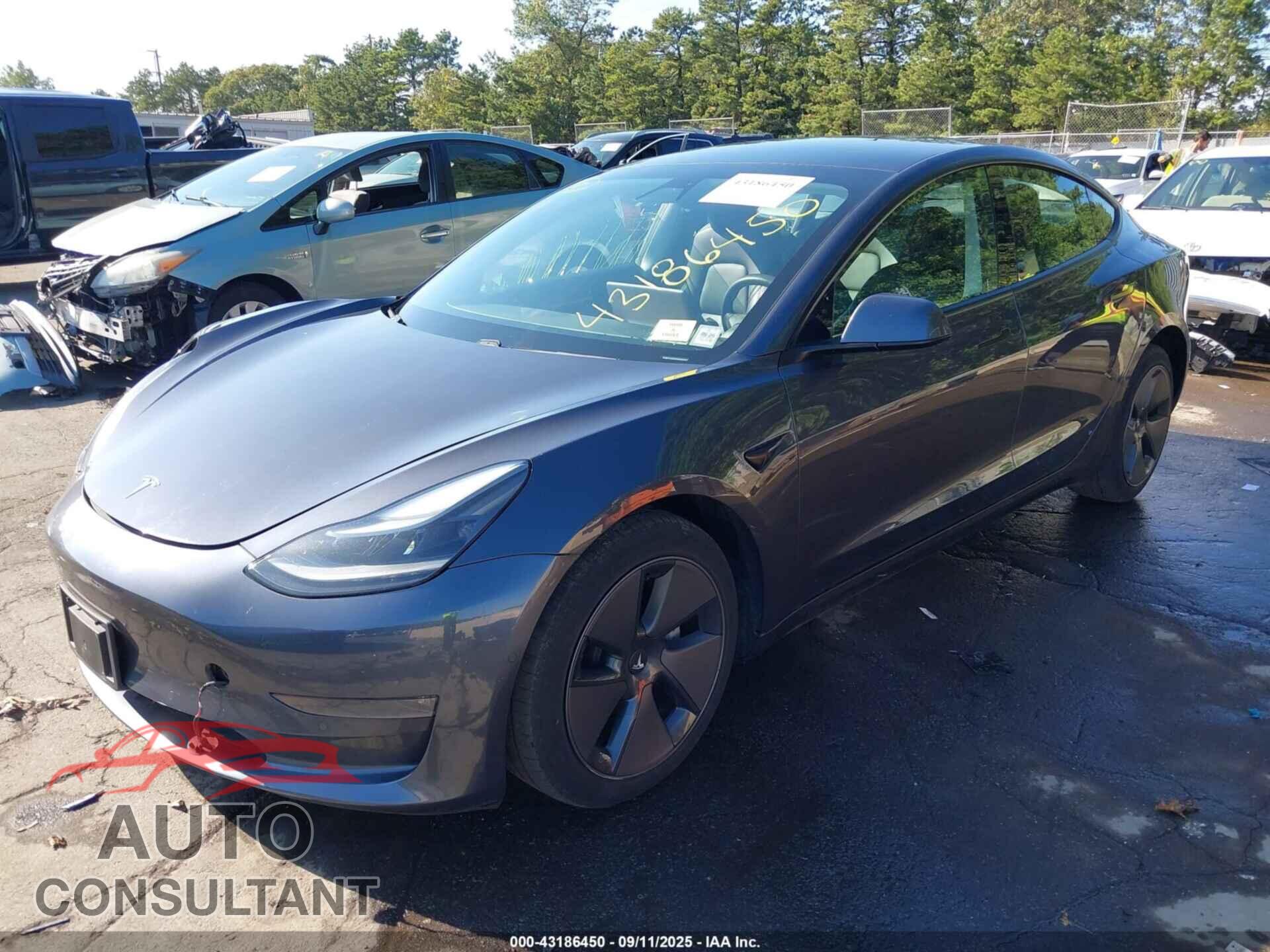 TESLA MODEL 3 2021 - 5YJ3E1EB3MF055225