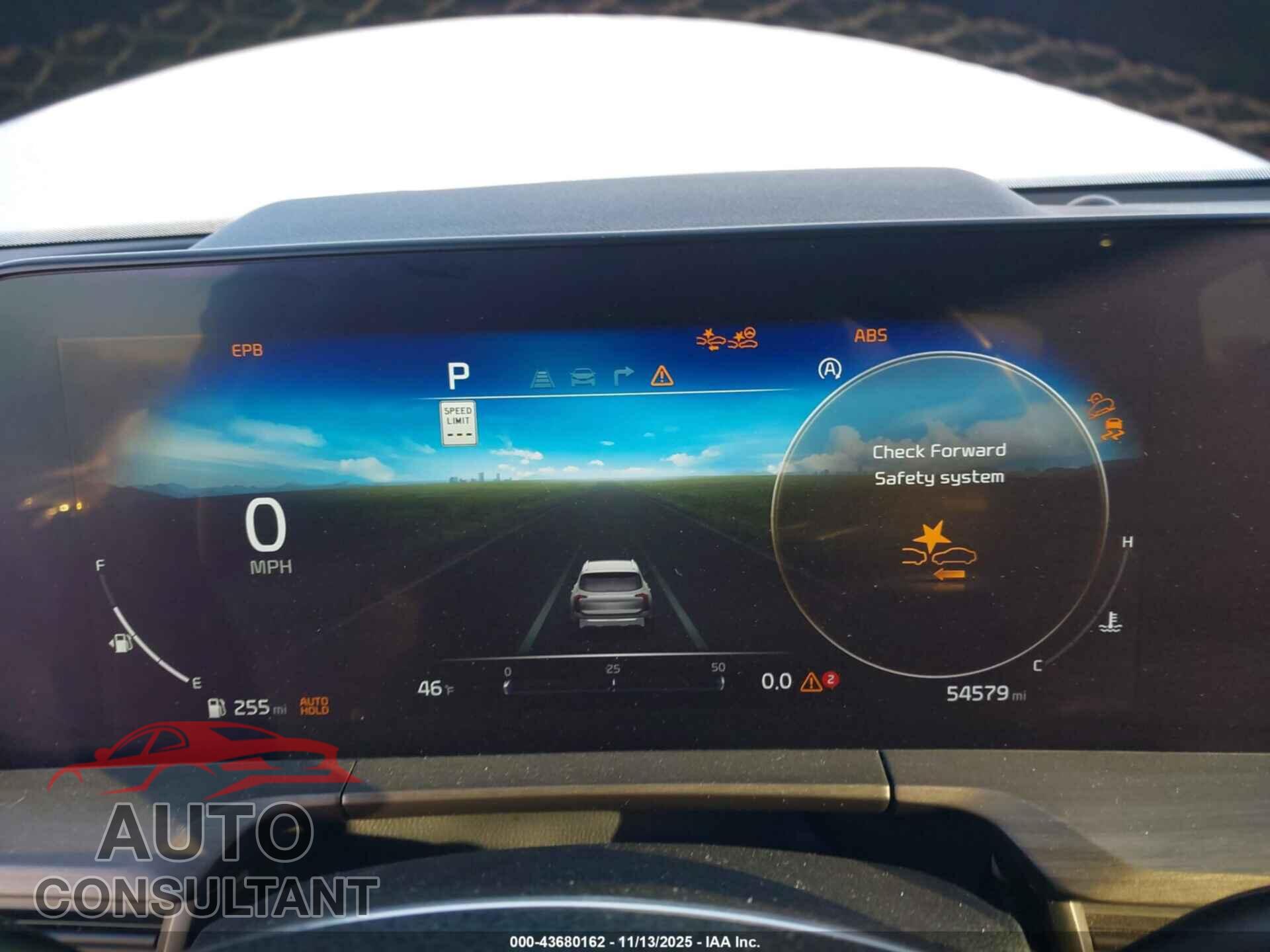 KIA TELLURIDE 2024 - 5XYP5DGC5RG459345