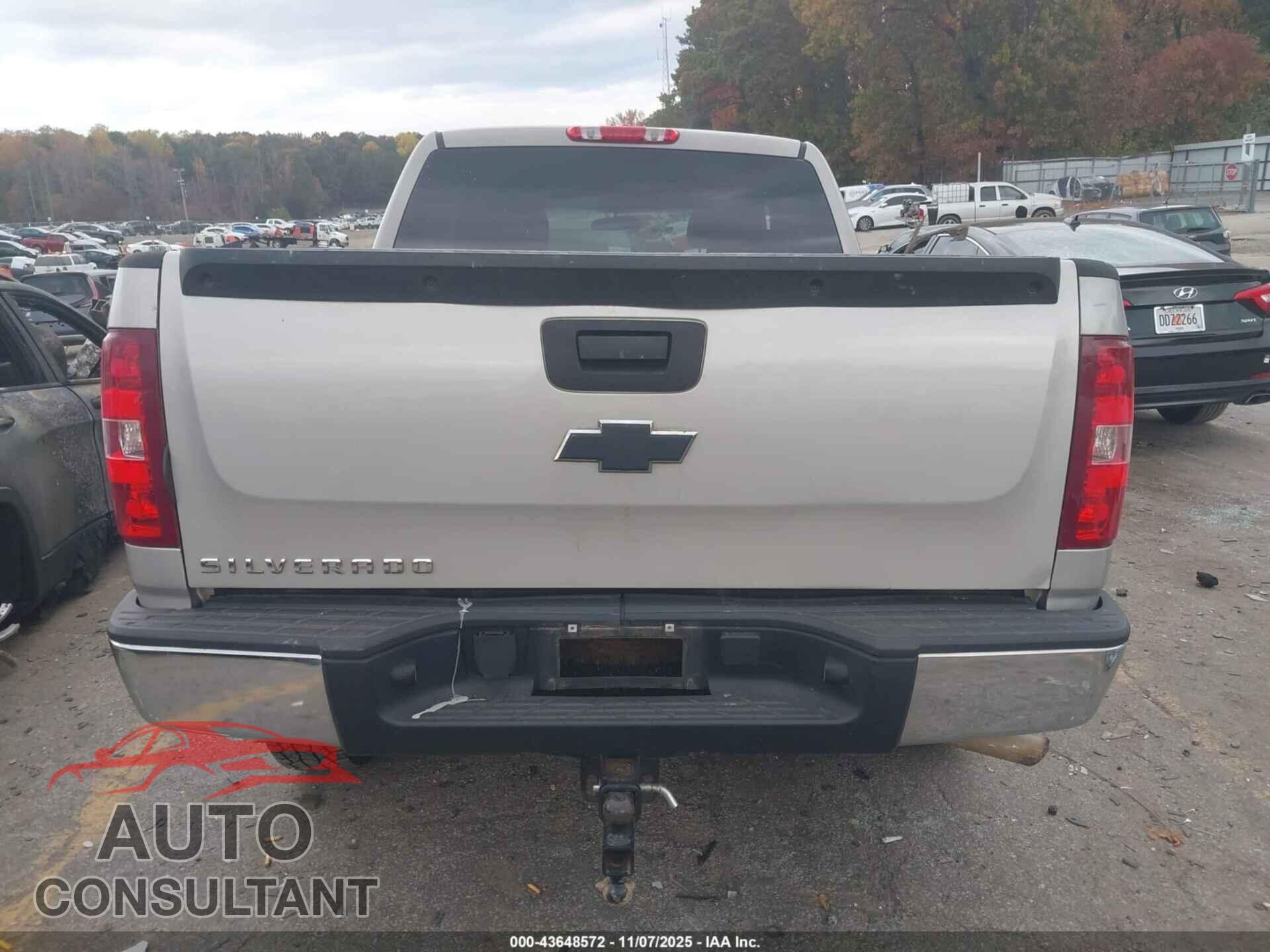 CHEVROLET SILVERADO 1500 2009 - 1GCEC19C39Z202601