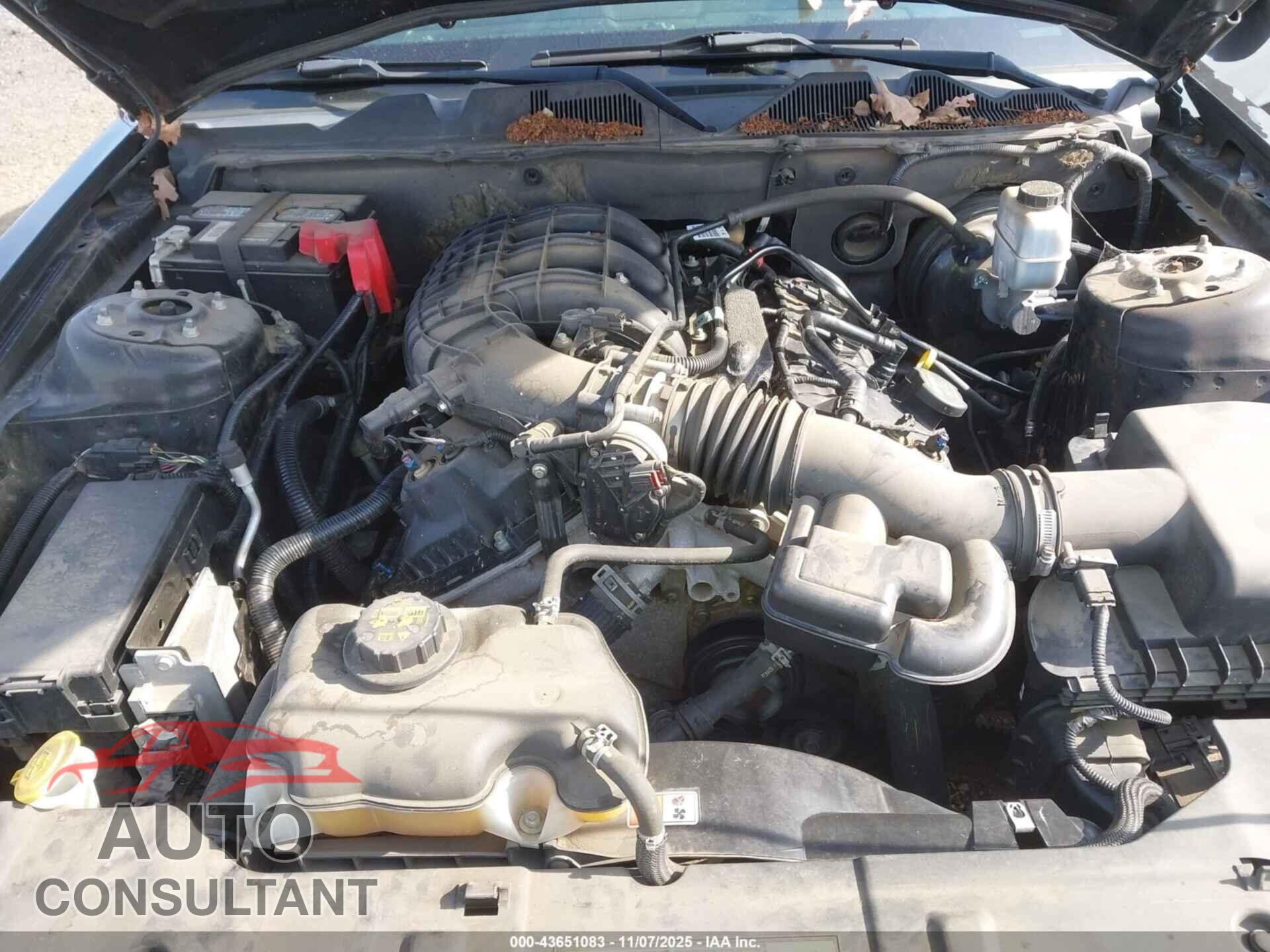 FORD MUSTANG 2014 - 1ZVBP8AM8E5212236