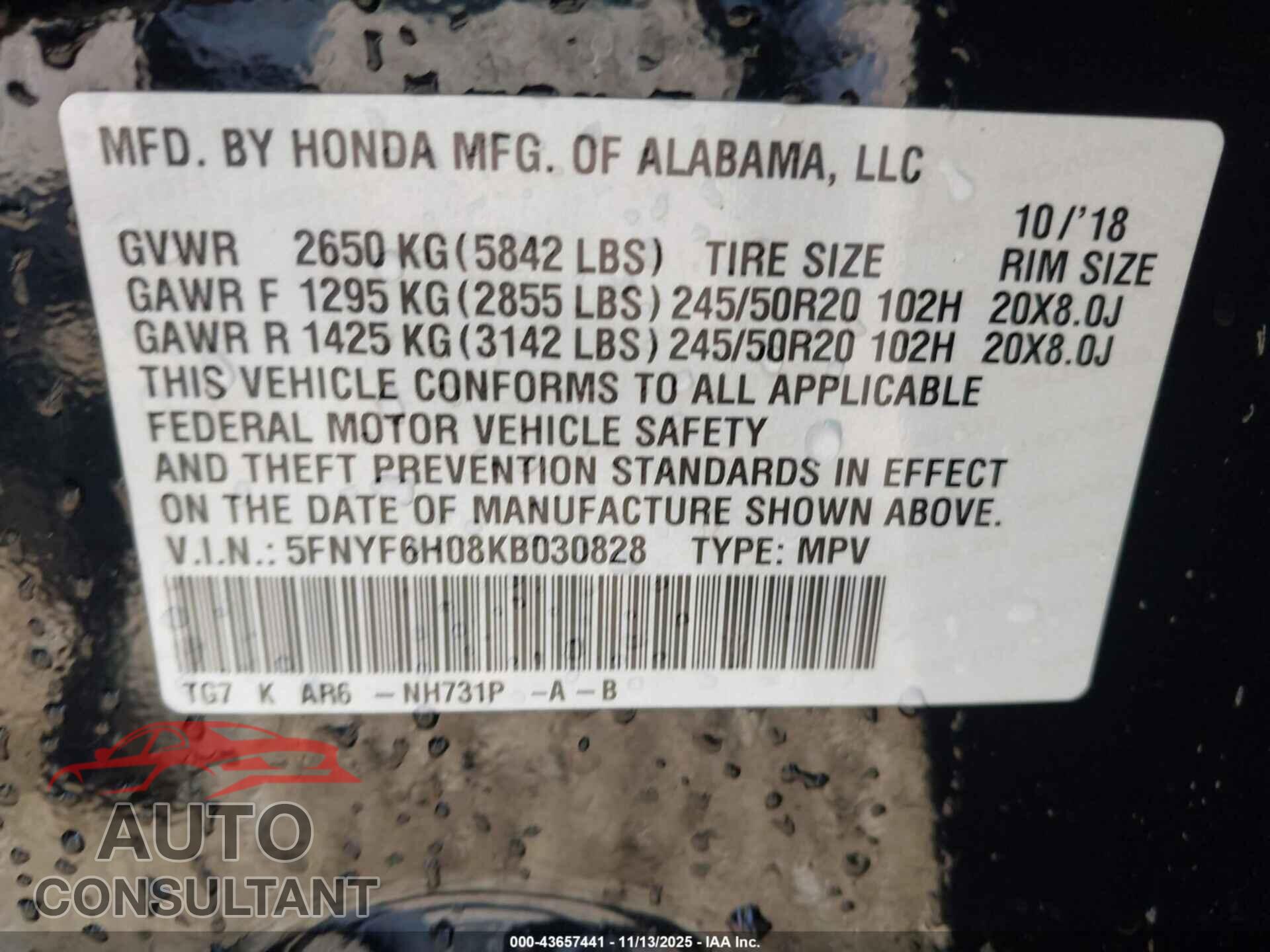 HONDA PILOT 2019 - 5FNYF6H08KB030828