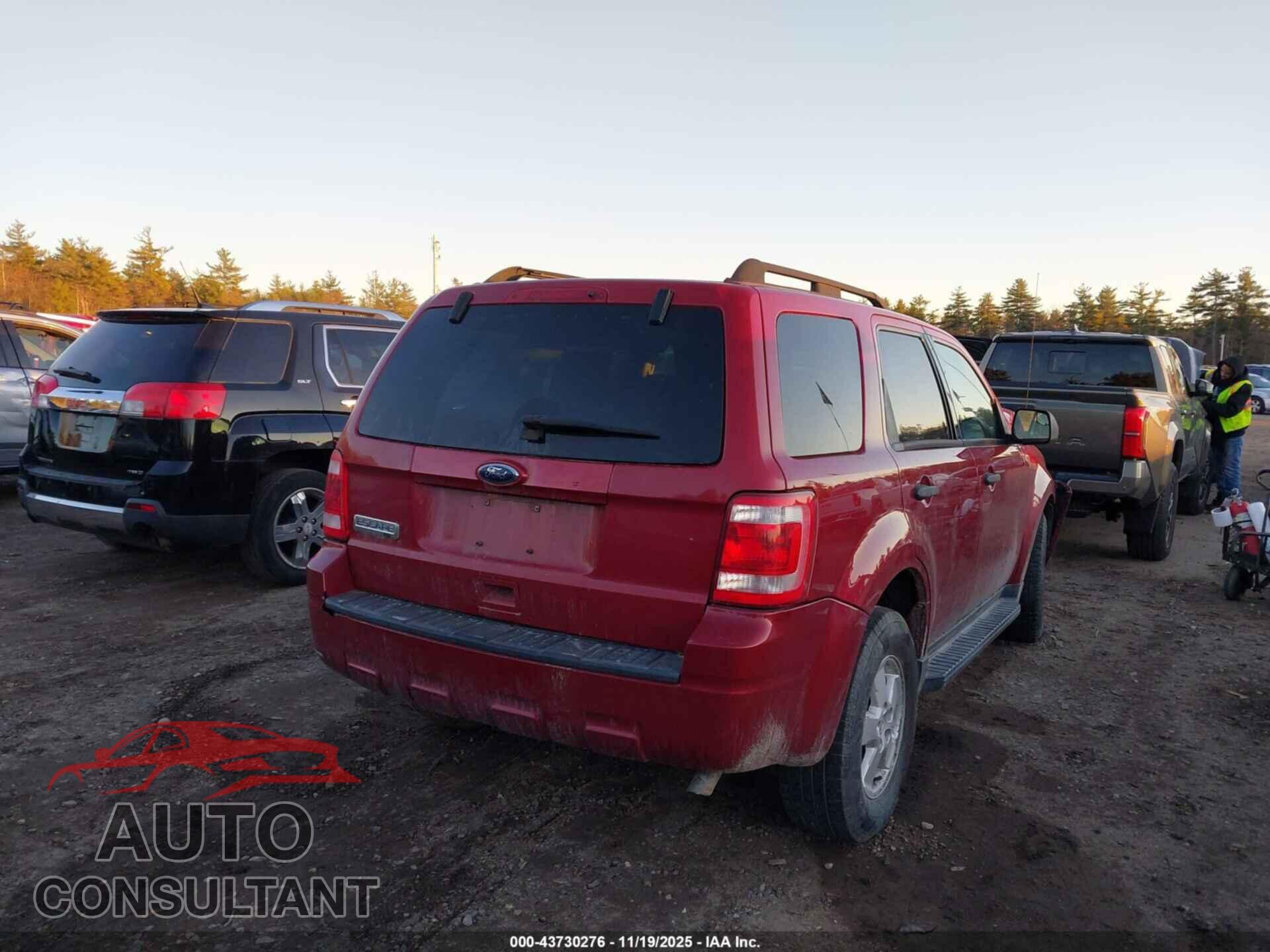 FORD ESCAPE 2010 - 1FMCU9D71AKC59904