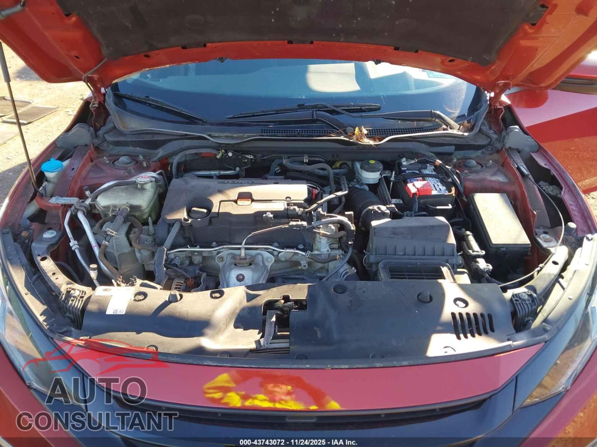 HONDA CIVIC 2019 - 2HGFC2F67KH534475