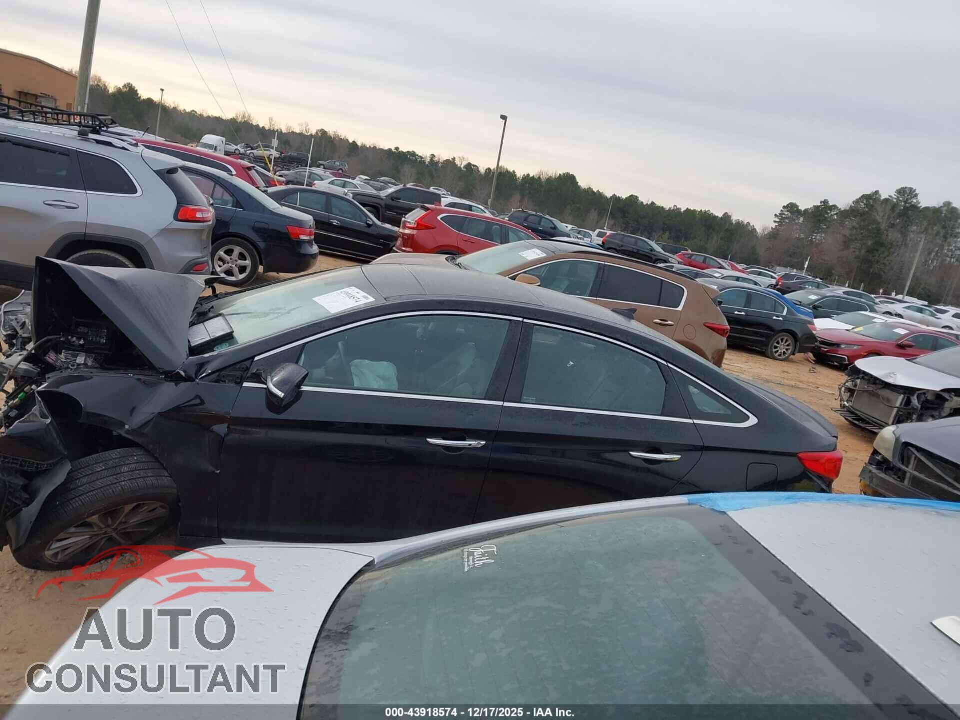HYUNDAI SONATA 2016 - 5NPE34AF8GH282036