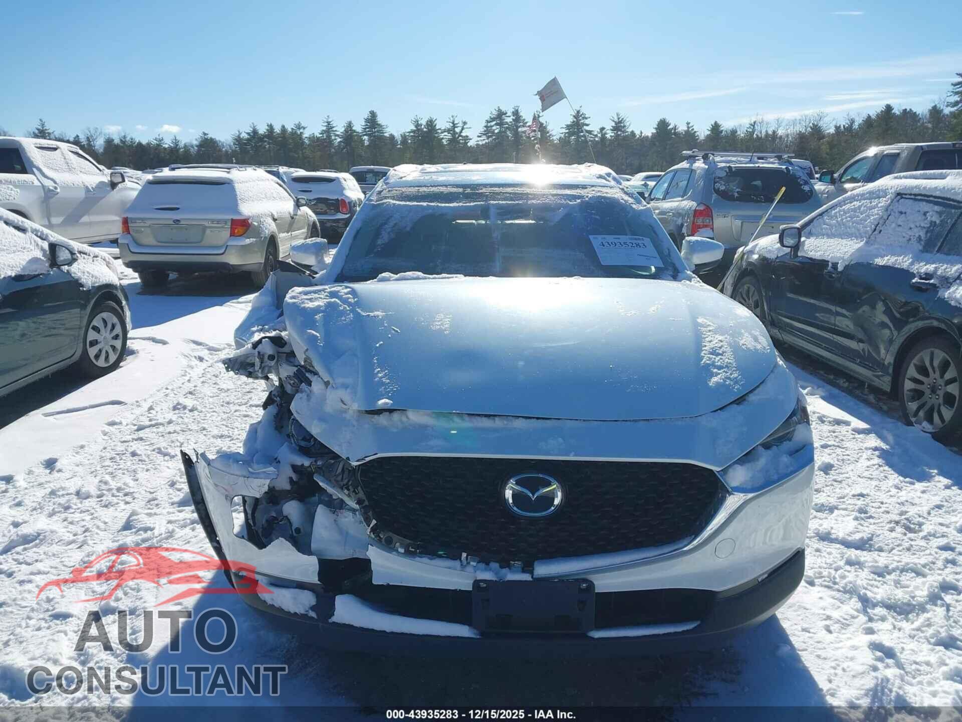 MAZDA CX-30 2024 - 3MVDMBDM8RM633465