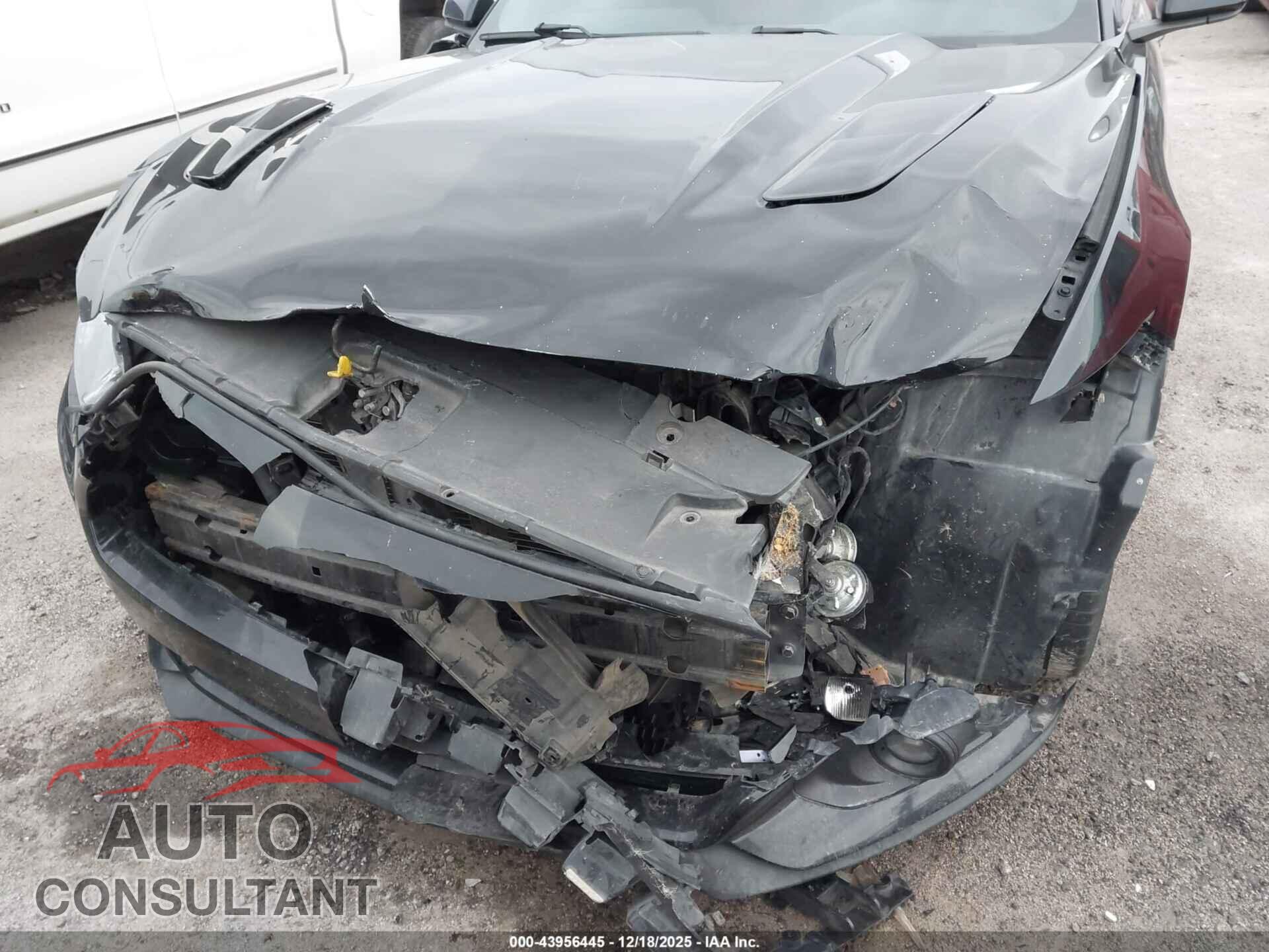 FORD MUSTANG 2015 - 1FA6P8CF1F5369892