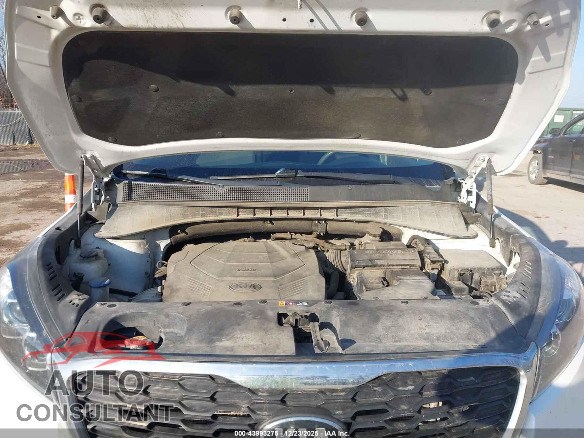 KIA SORENTO 2020 - 5XYPGDA59LG618301