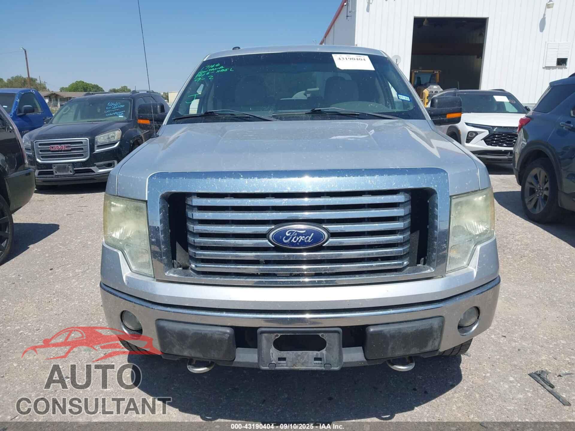 FORD F-150 2010 - 1FTEW1E89AFC29395