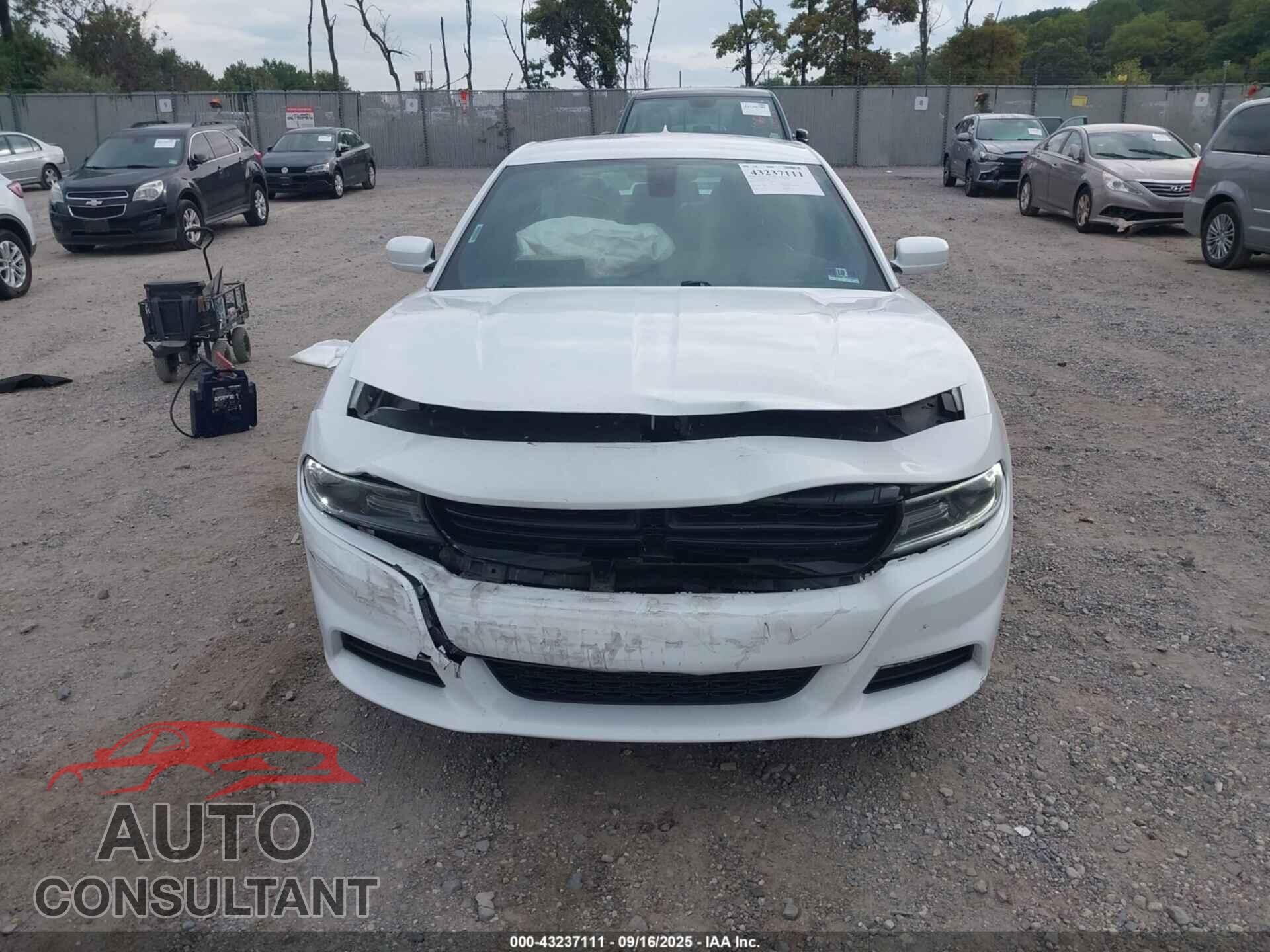DODGE CHARGER 2019 - 2C3CDXJG7KH757888