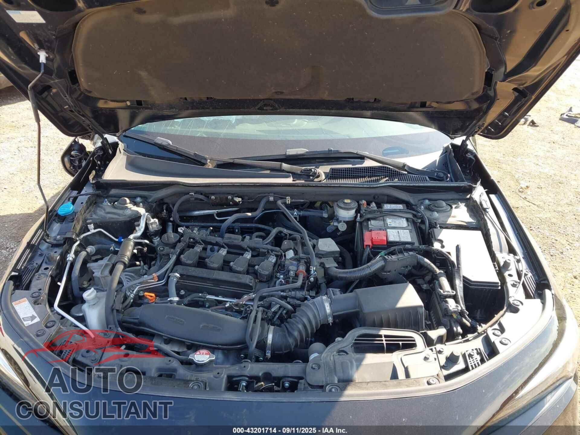 HONDA CIVIC 2022 - JHMFE1F77NX009751