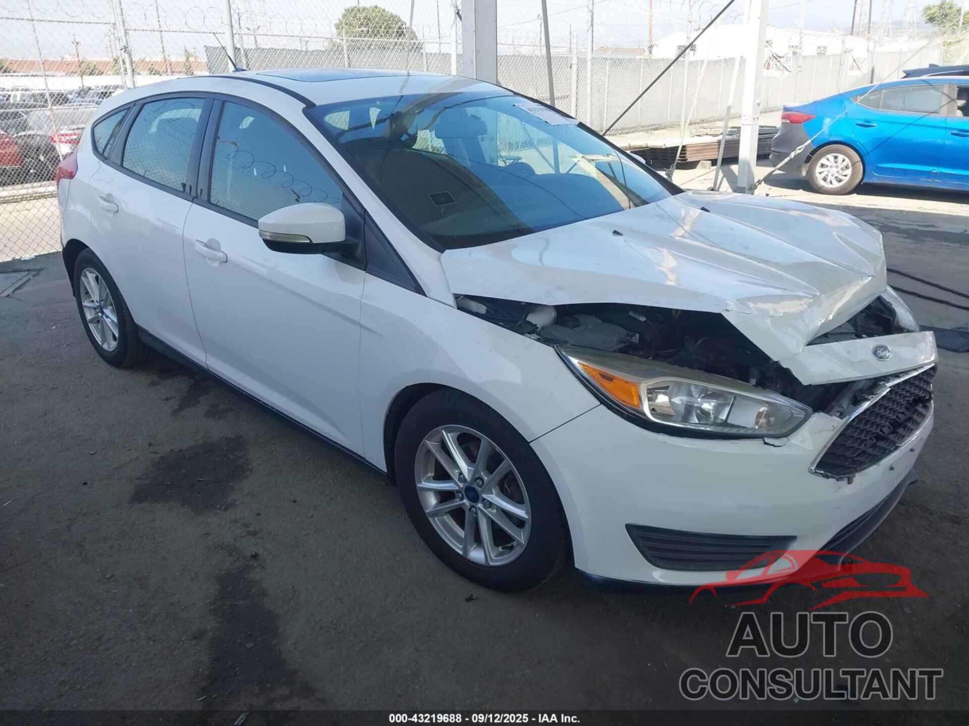 FORD FOCUS 2016 - 1FADP3K23GL363937