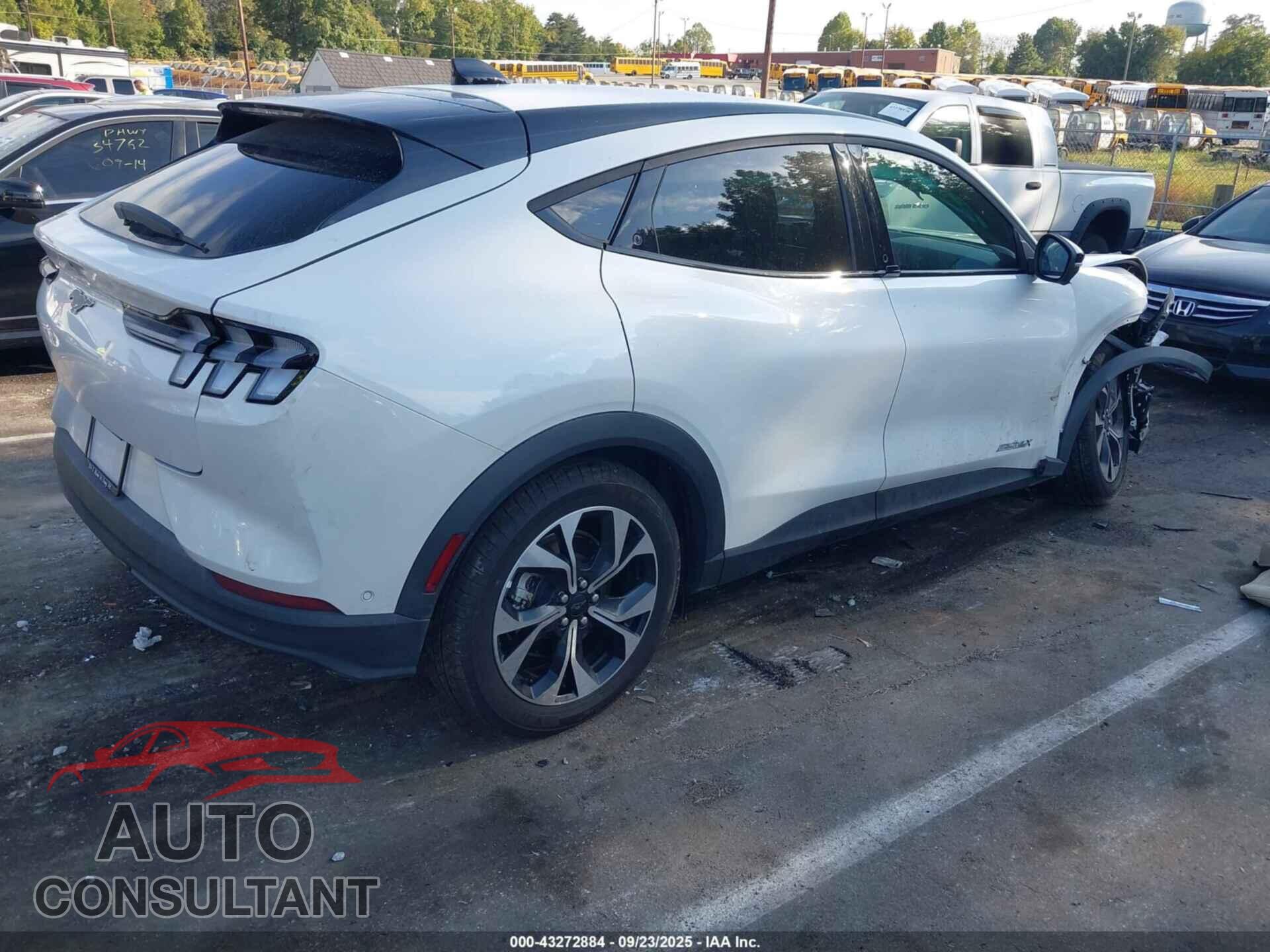 FORD MUSTANG MACH-E 2024 - 3FMTK1SU3RMA45873