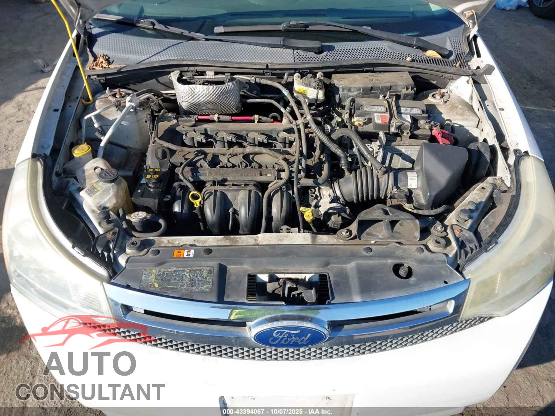 FORD FOCUS 2011 - 1FAHP3FNXBW166728