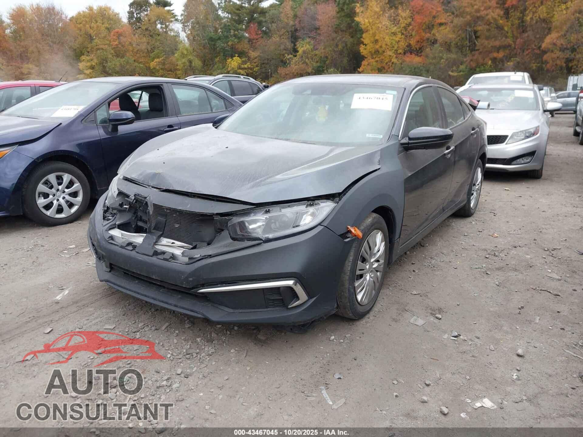 HONDA CIVIC 2019 - 2HGFC2F68KH588206
