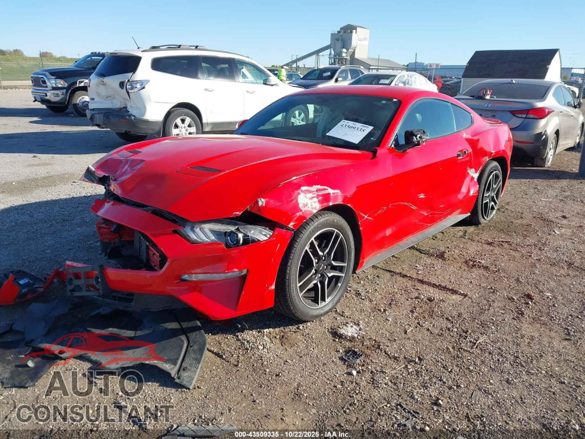 FORD MUSTANG 2019 - 1FA6P8THXK5172523