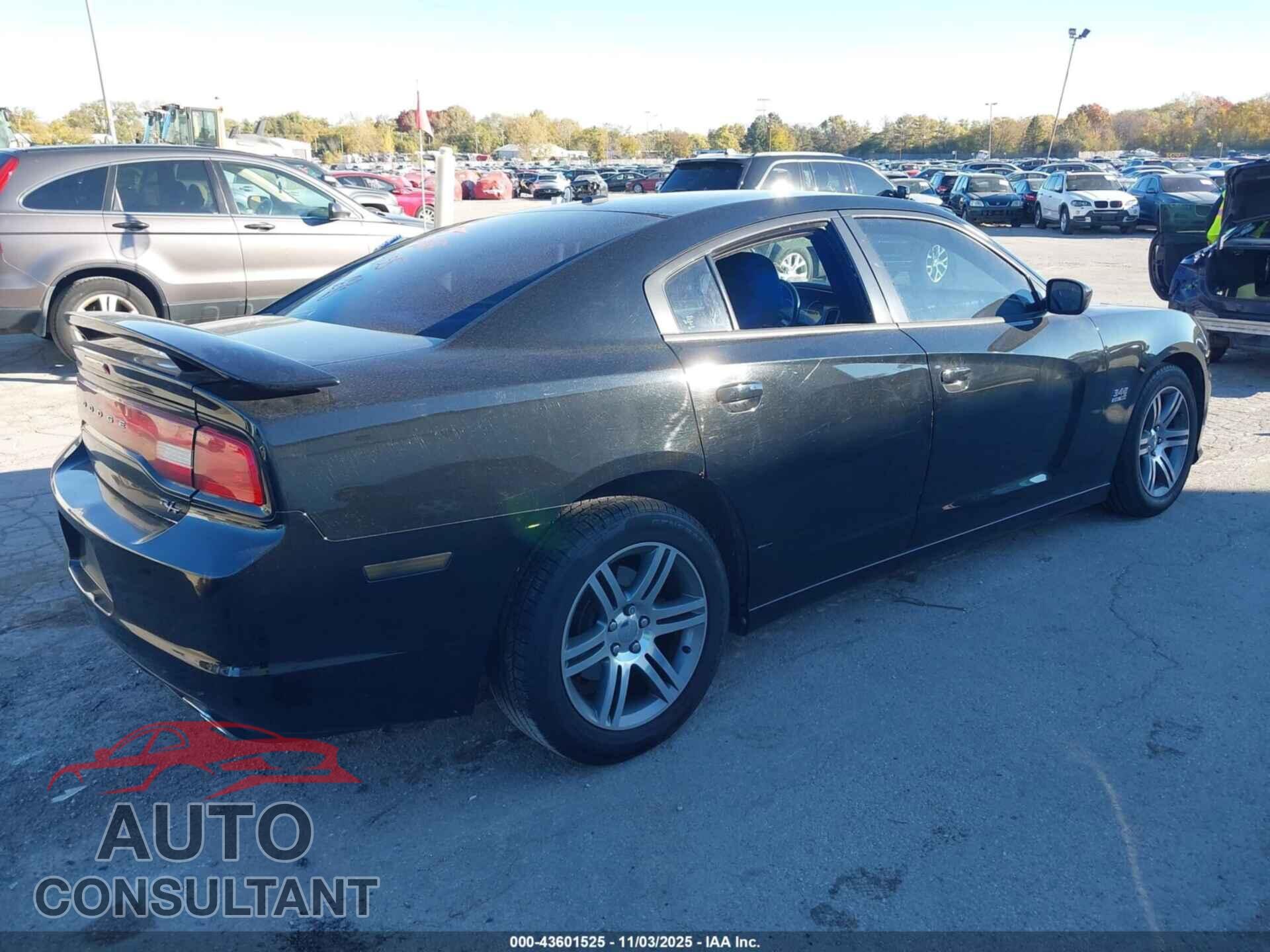 DODGE CHARGER 2014 - 2C3CDXCT7EH114441
