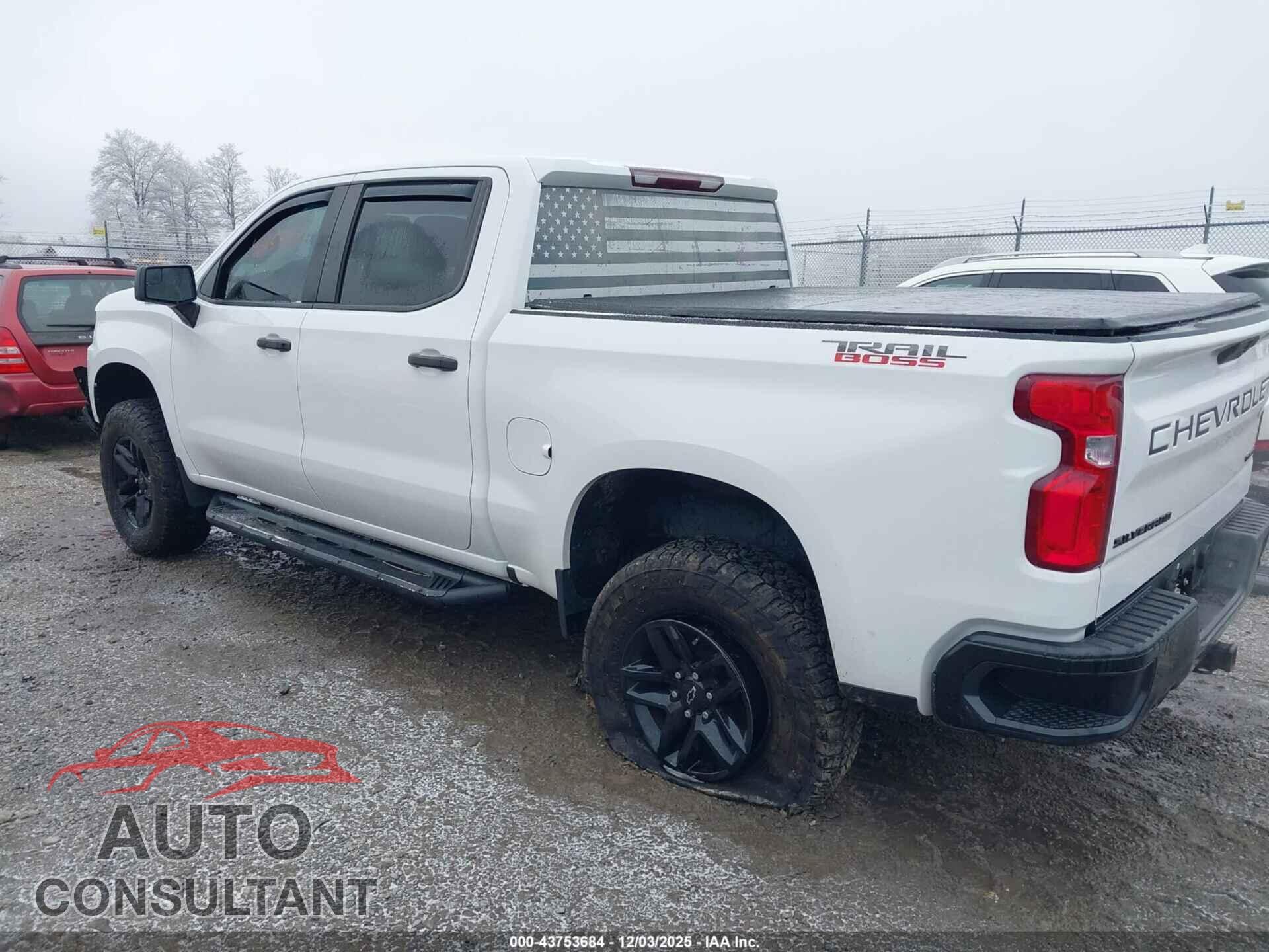 CHEVROLET SILVERADO 1500 2020 - 1GCPYCEF9LZ217407