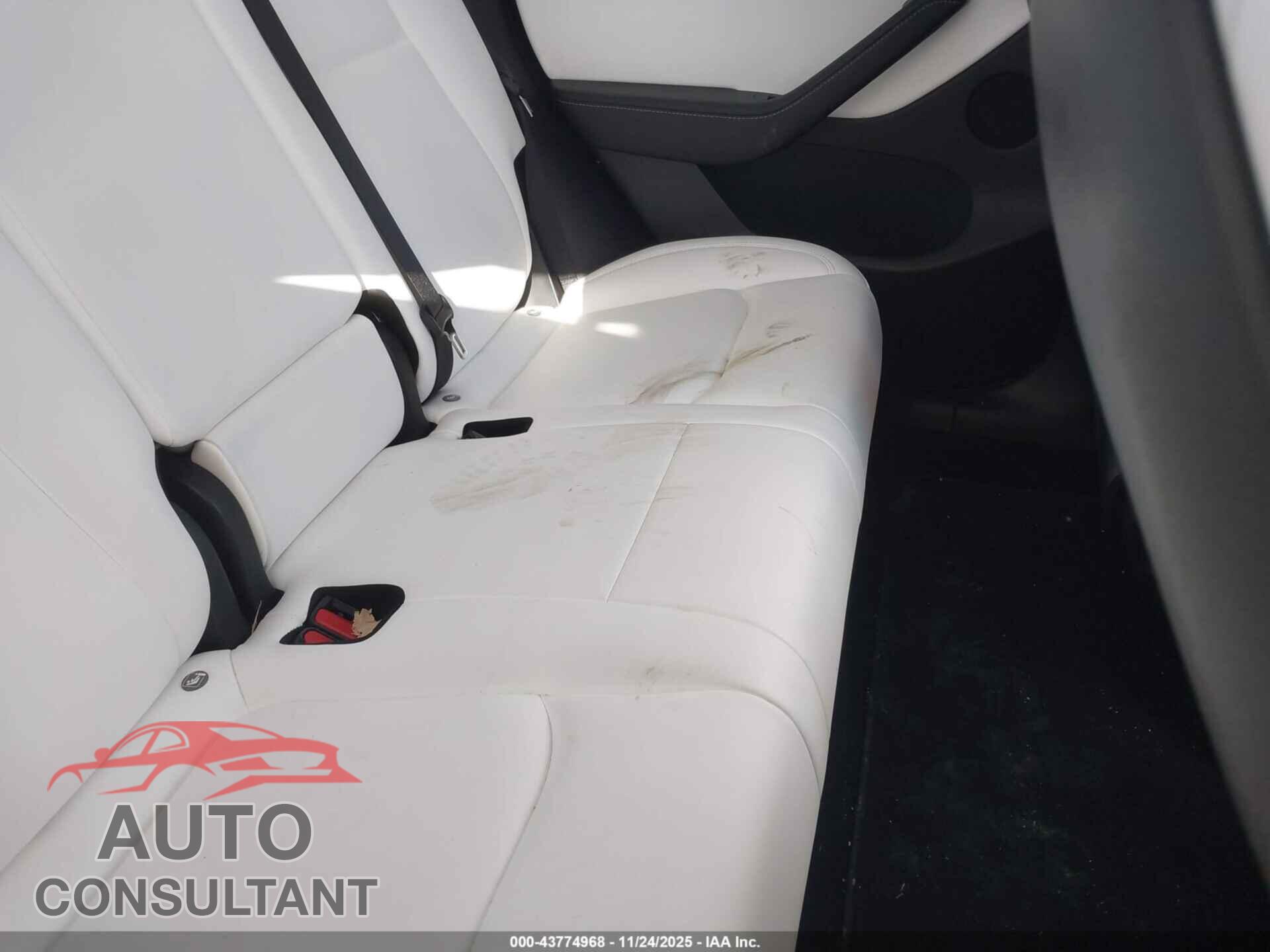 TESLA MODEL Y 2021 - 5YJYGDEE6MF240929