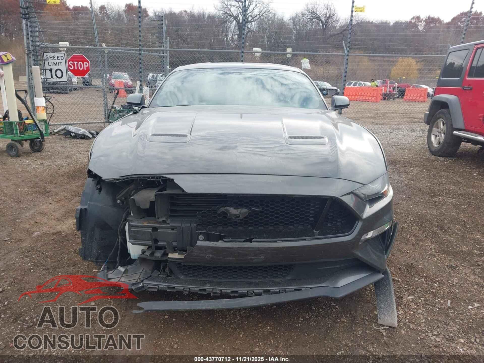FORD MUSTANG 2019 - 1FA6P8CF8K5129880