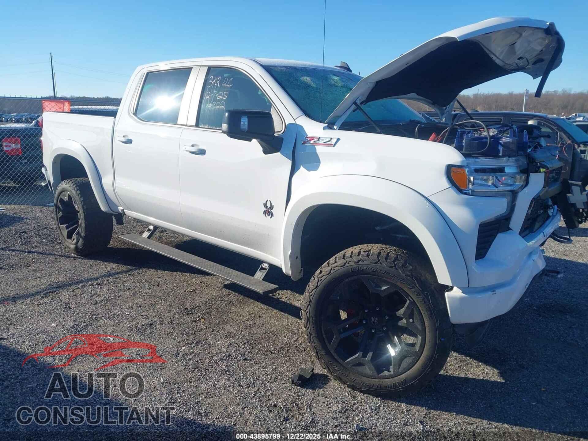 CHEVROLET SILVERADO 1500 2024 - 1GCUDEEL5RZ161880