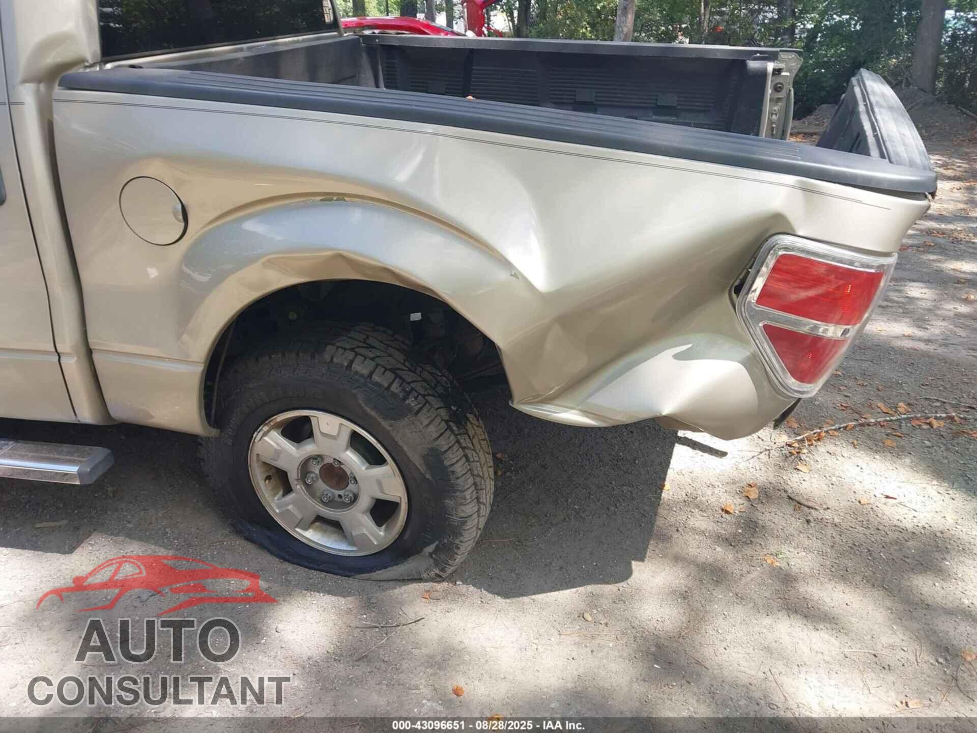 FORD F-150 2010 - 1FTEW1C85AKB05330