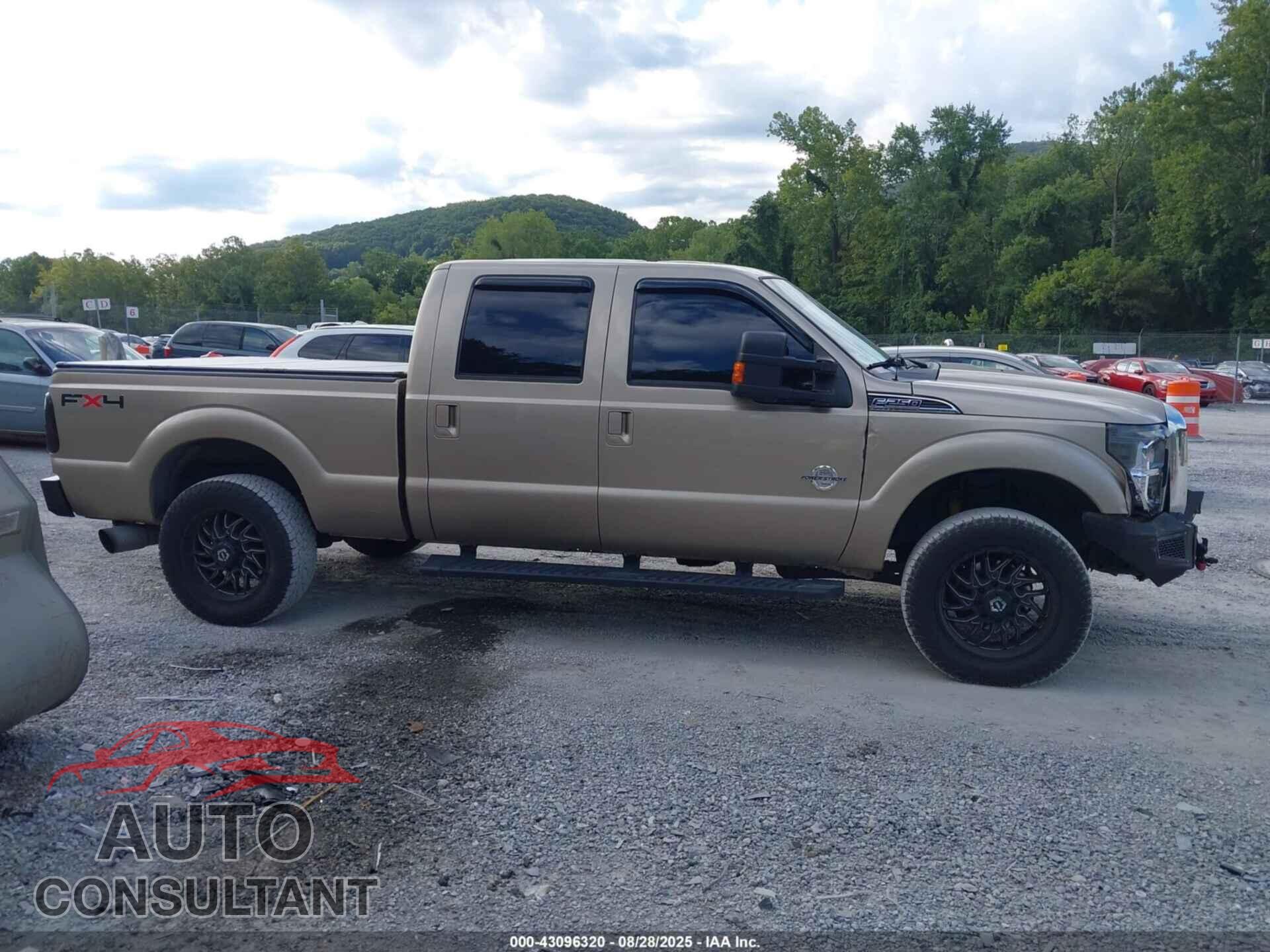FORD F-250 2011 - 1FT7W2BT1BEB36031
