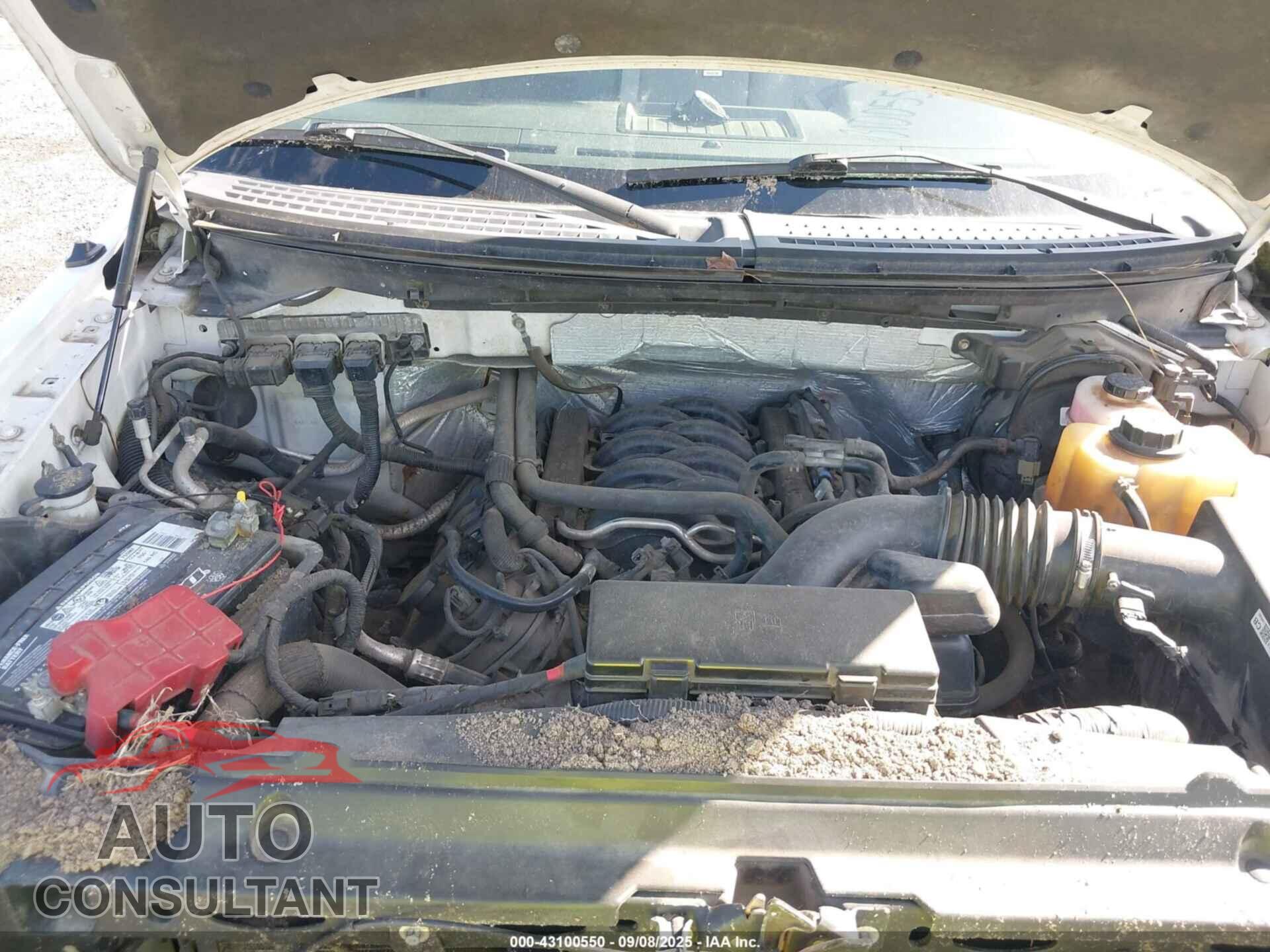 FORD F-150 2013 - 1FTFW1EFXDFB92638