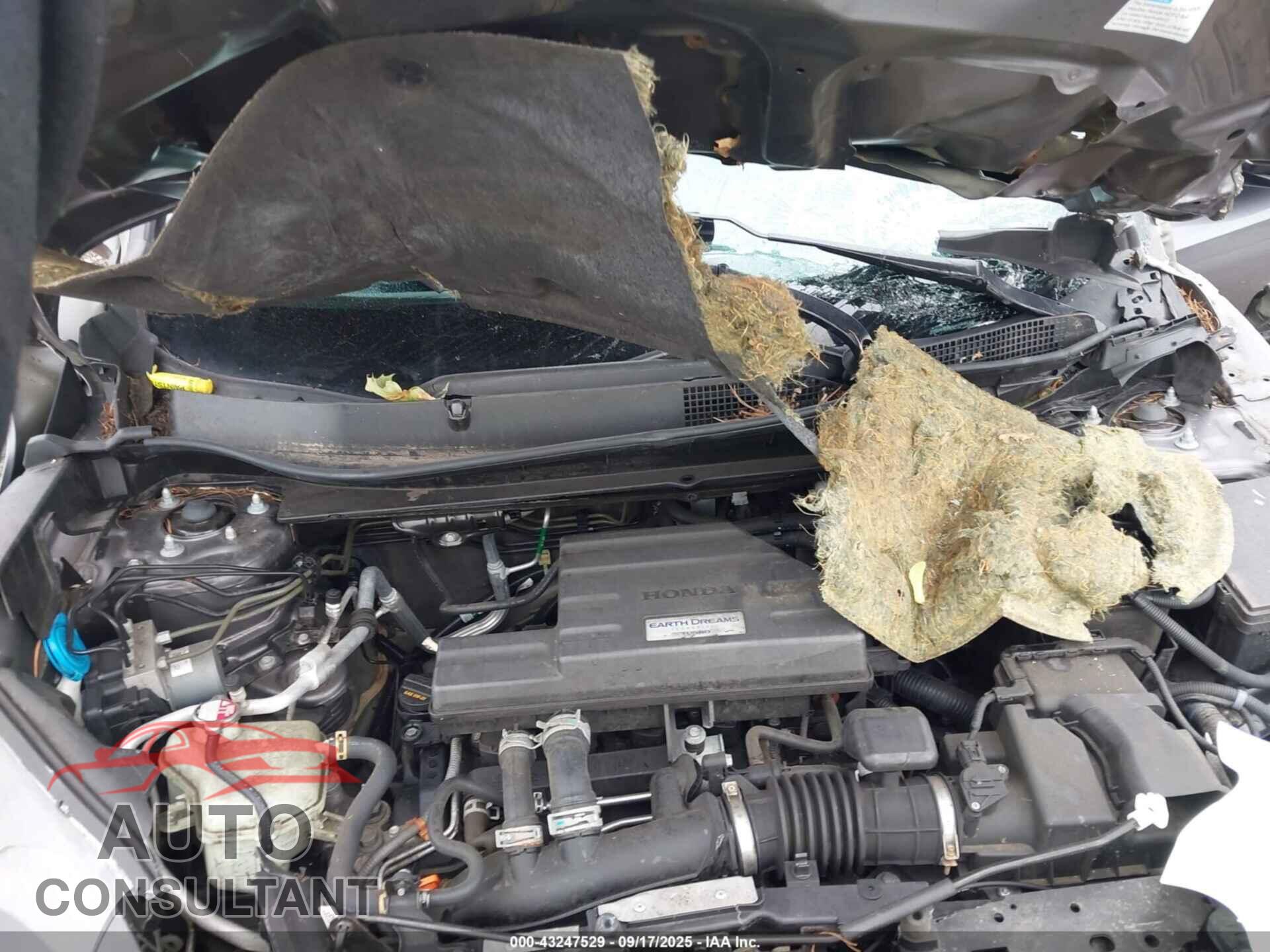 HONDA CR-V 2019 - 7FARW2H86KE040104