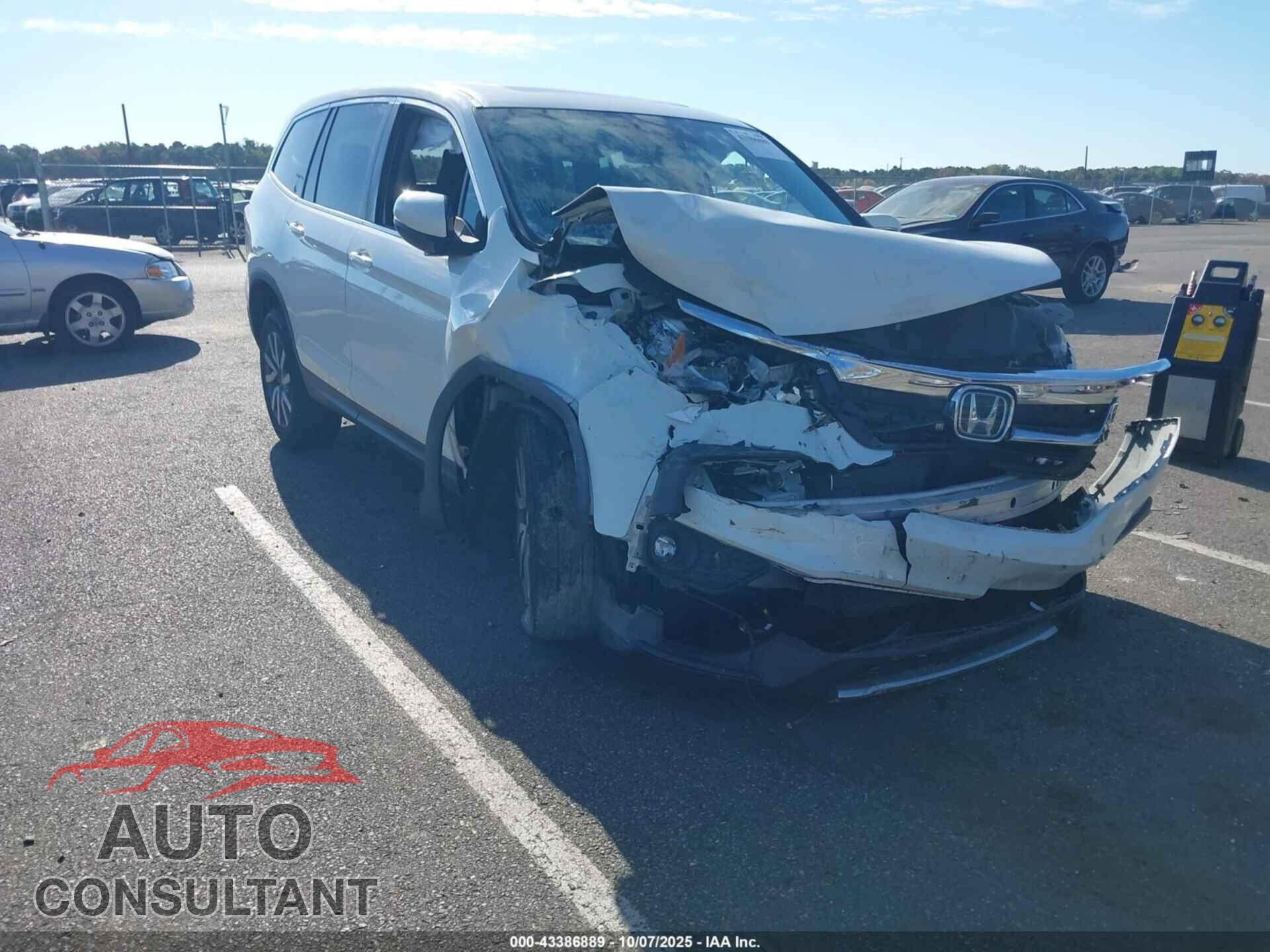 HONDA PILOT 2019 - 5FNYF6H41KB036229