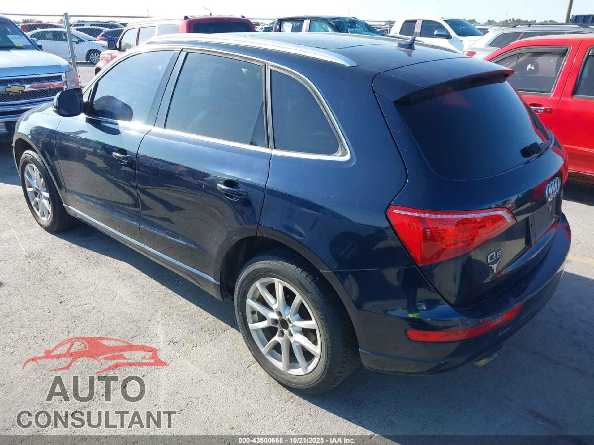 AUDI Q5 2010 - WA1CKAFPXAA052288