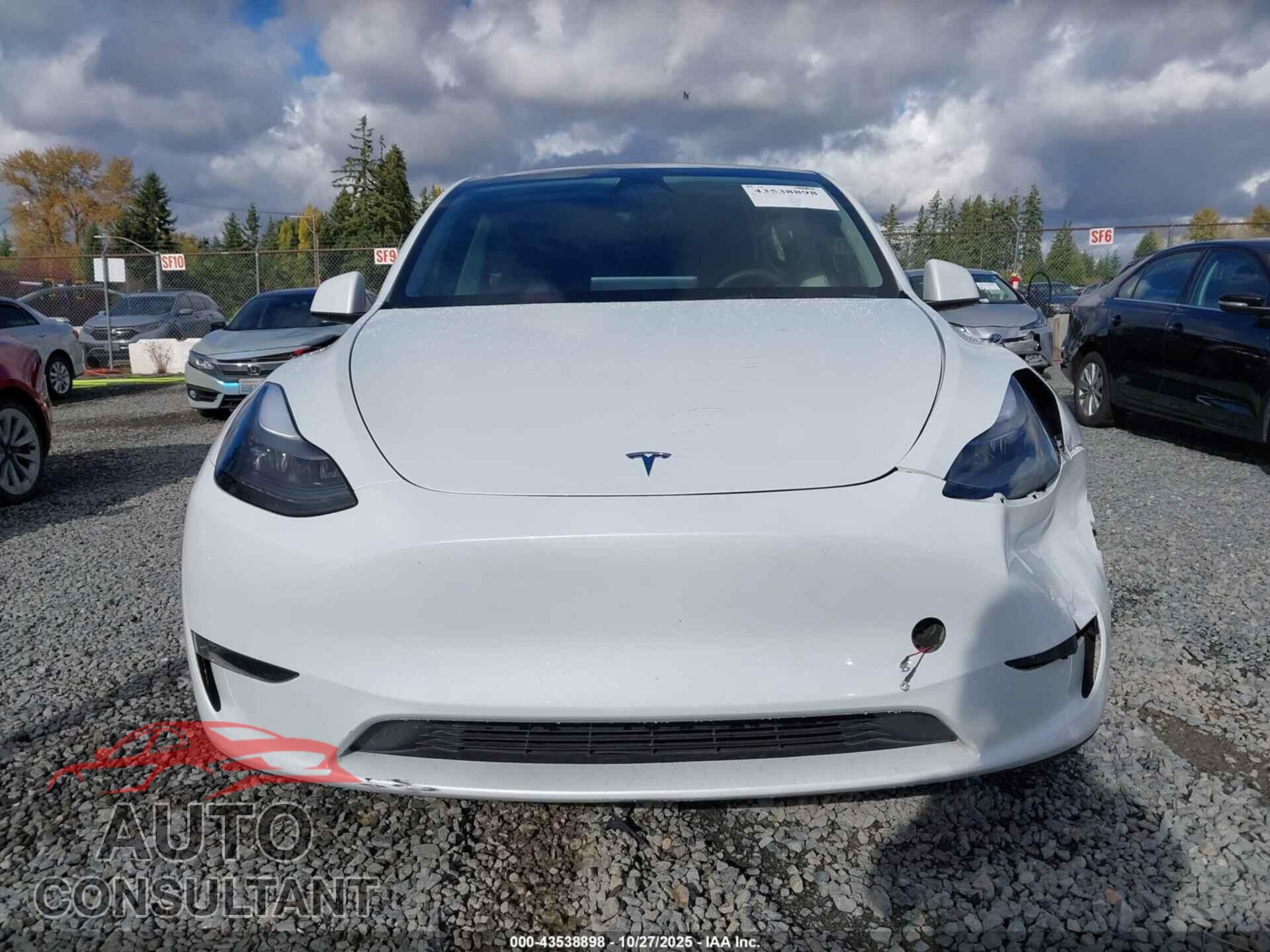 TESLA MODEL Y 2023 - 7SAYGAEE7PF812158