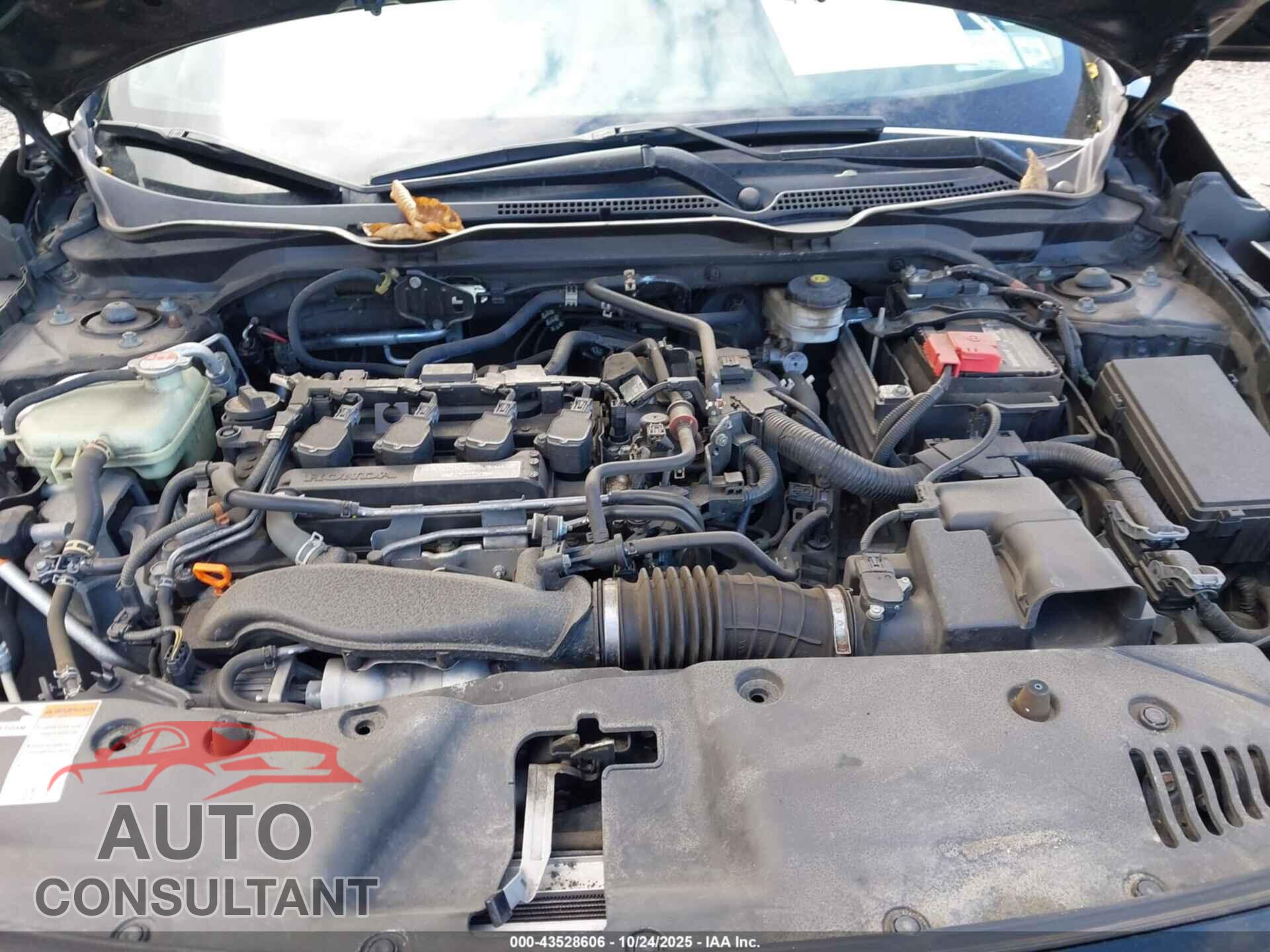 HONDA CIVIC 2017 - 19XFC1F70HE202397