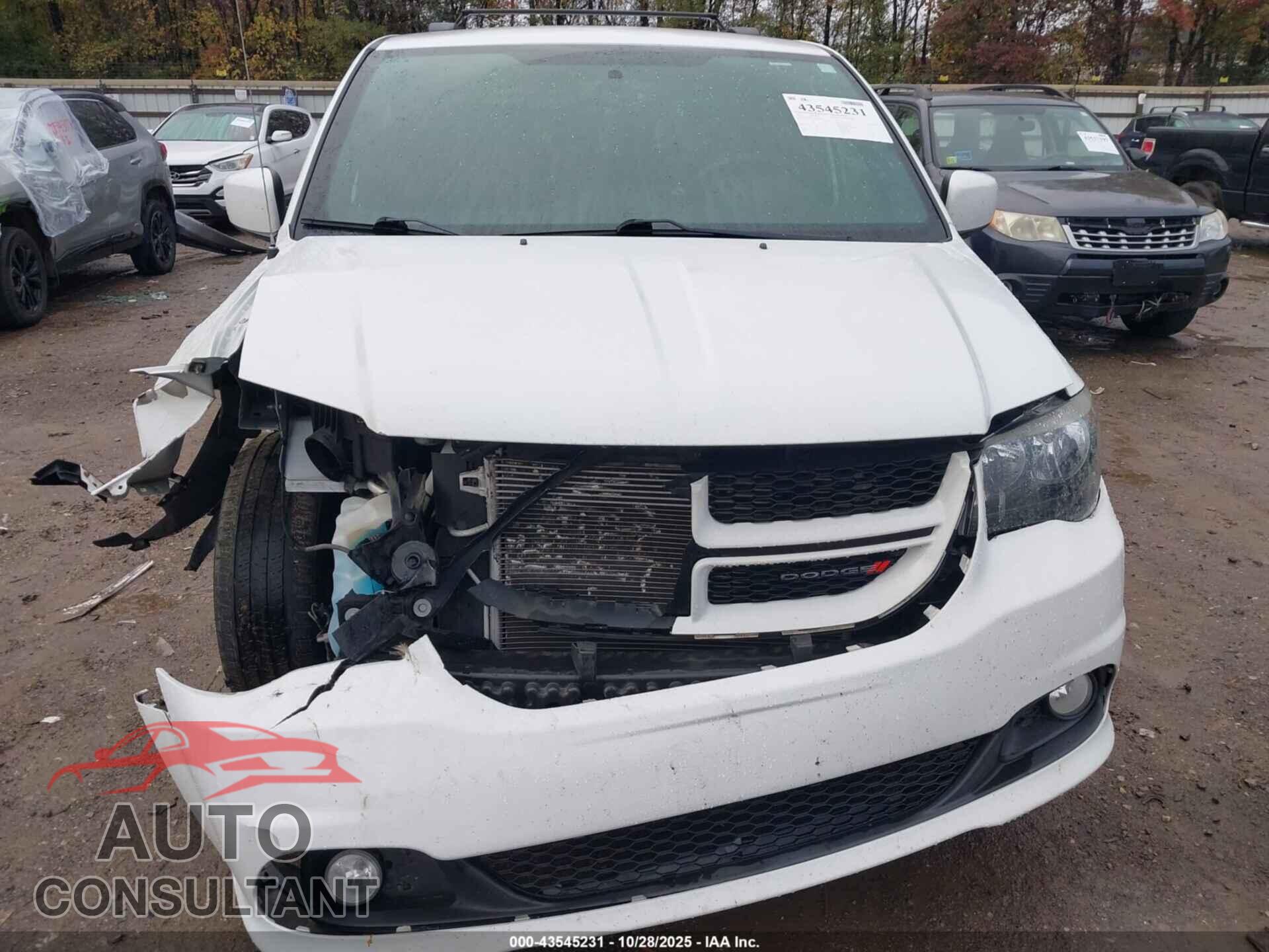 DODGE GRAND CARAVAN 2018 - 2C4RDGEG2JR249756