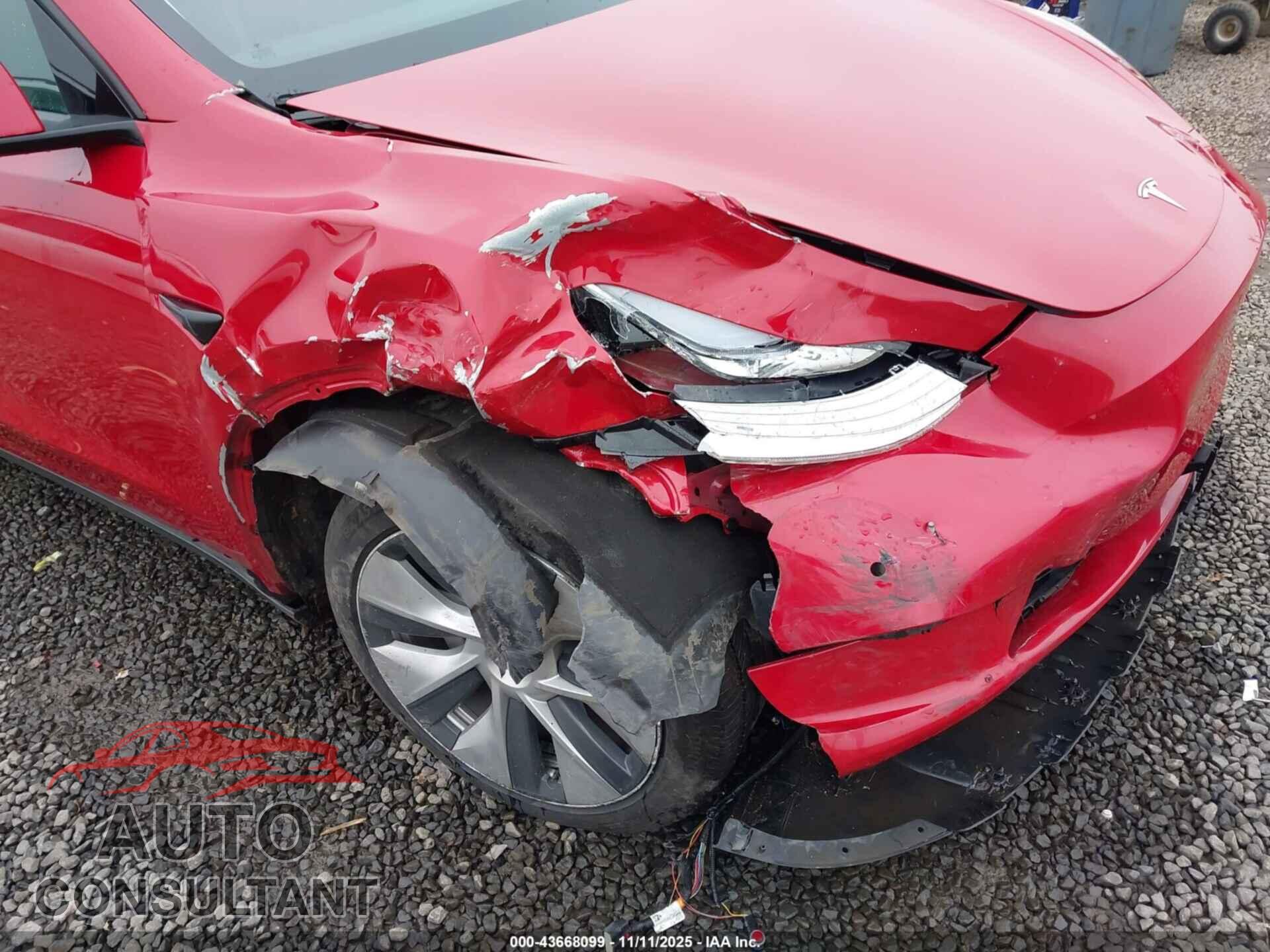 TESLA MODEL Y 2022 - 7SAYGDEE3NF461831