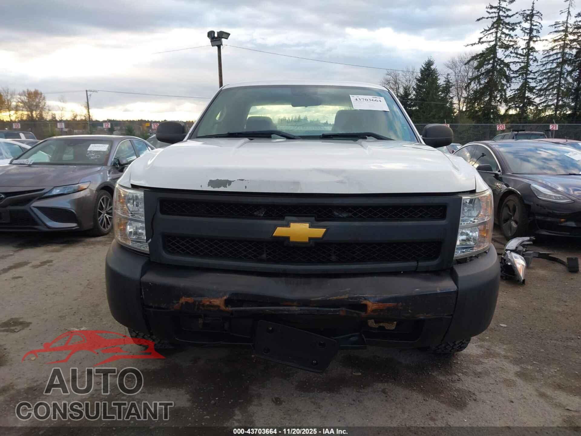CHEVROLET SILVERADO 1500 2013 - 1GCRCPEX9DZ319783
