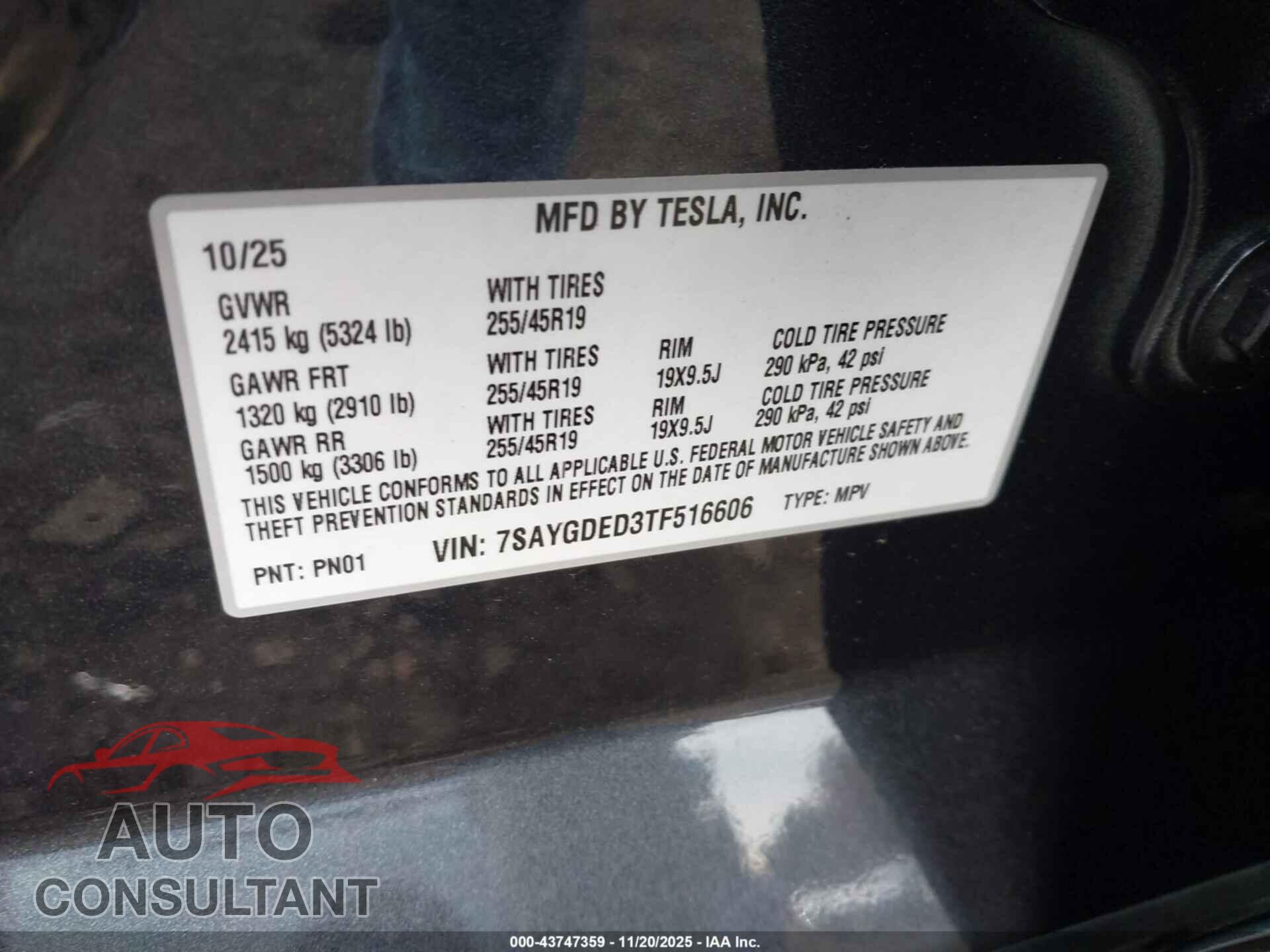 TESLA MODEL Y 2026 - 7SAYGDED3TF516606