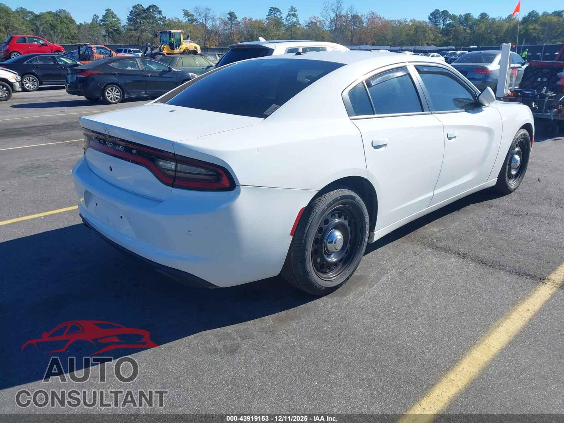 DODGE CHARGER 2019 - 2C3CDXKT2KH755283