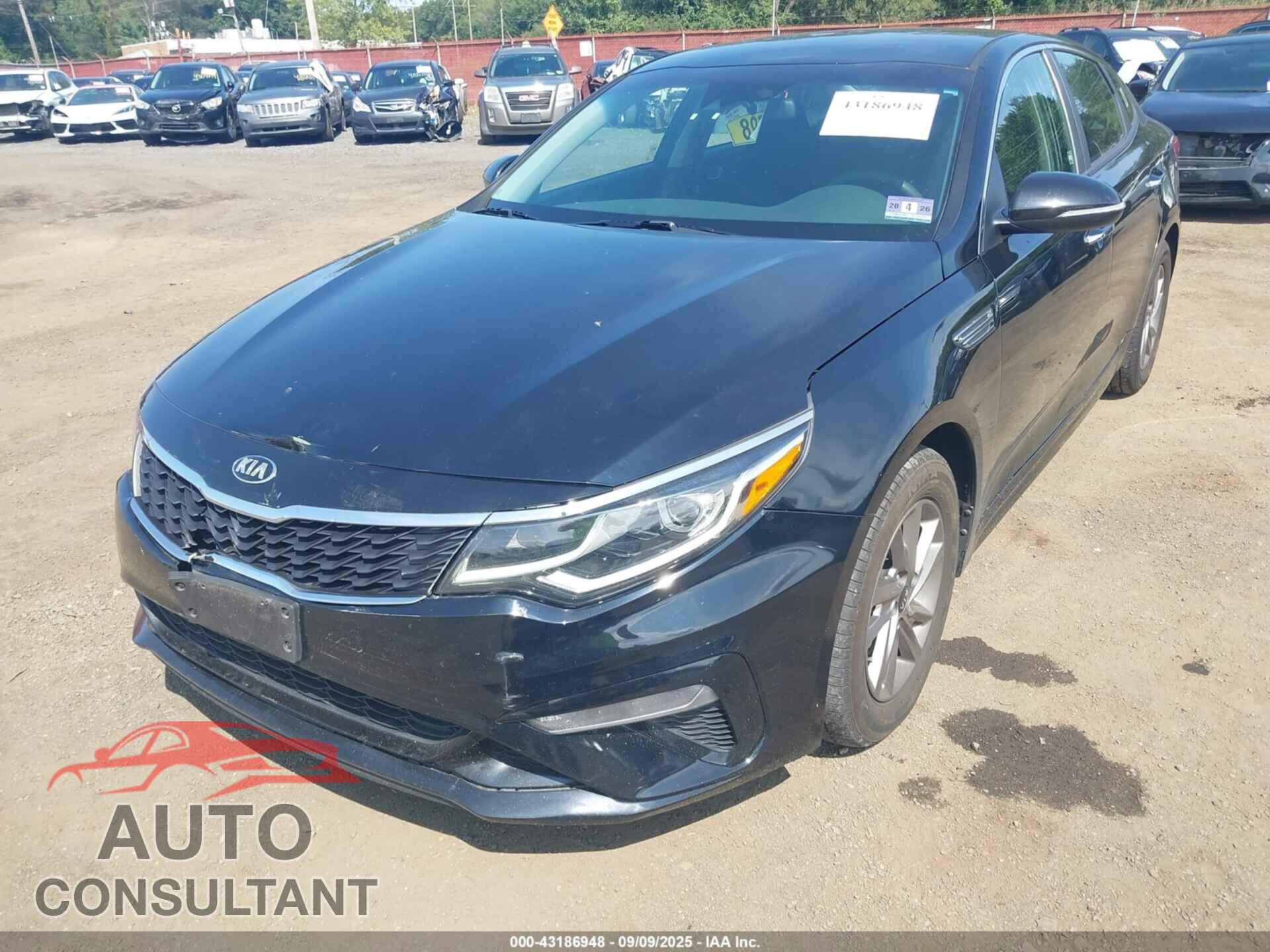 KIA OPTIMA 2019 - 5XXGT4L3XKG311682