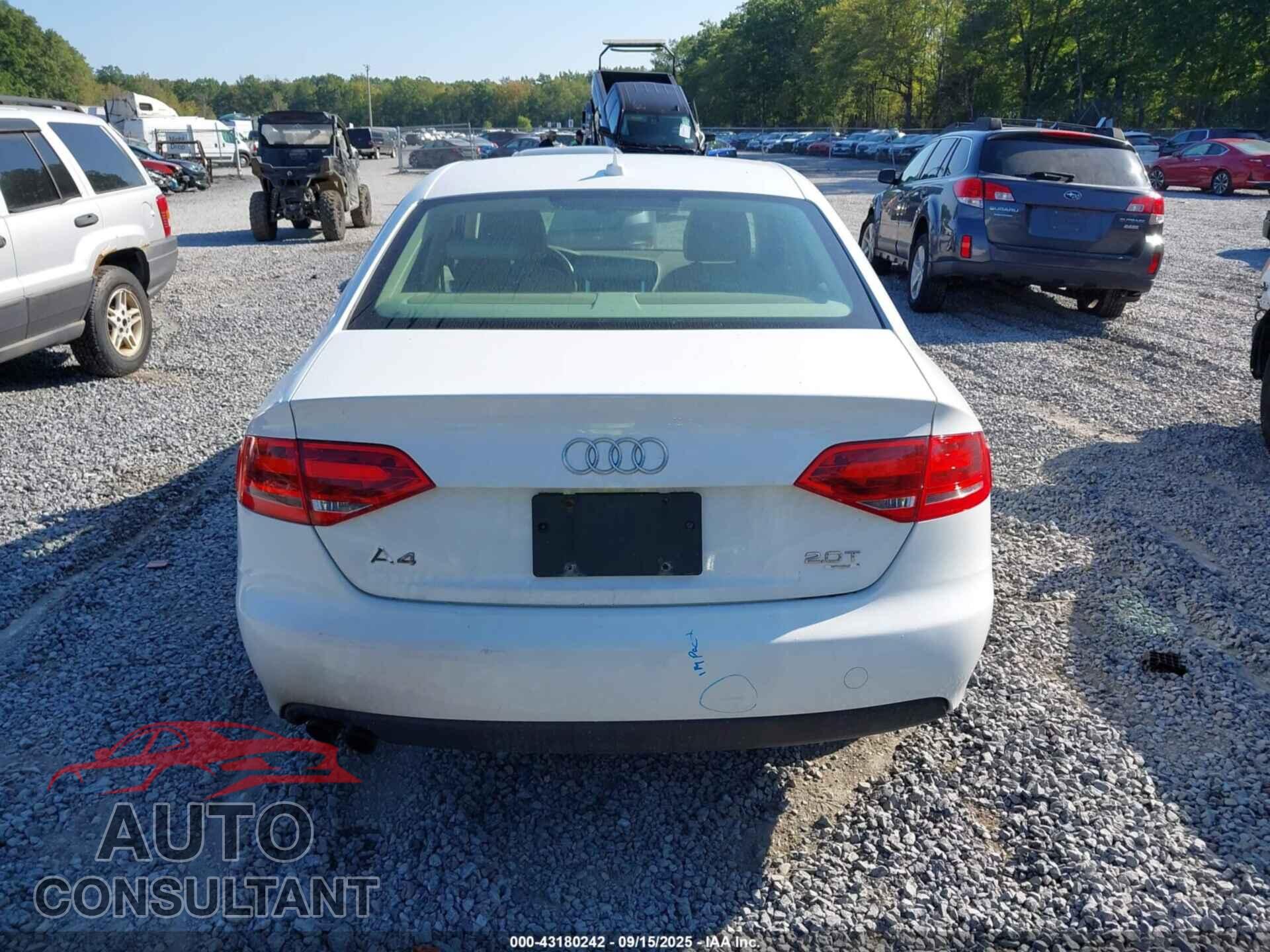 AUDI A4 2010 - WAUBFAFL0AN037582