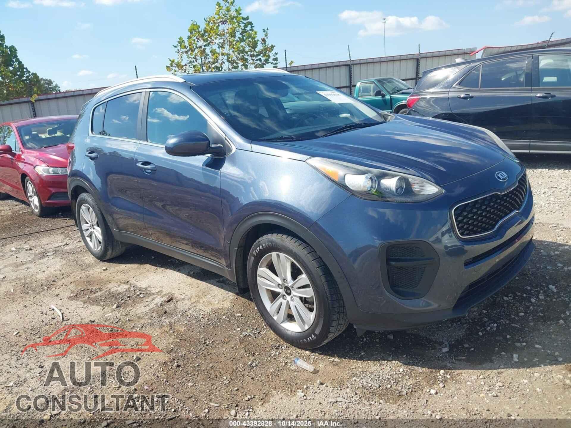 KIA SPORTAGE 2017 - KNDPM3AC6H7263576