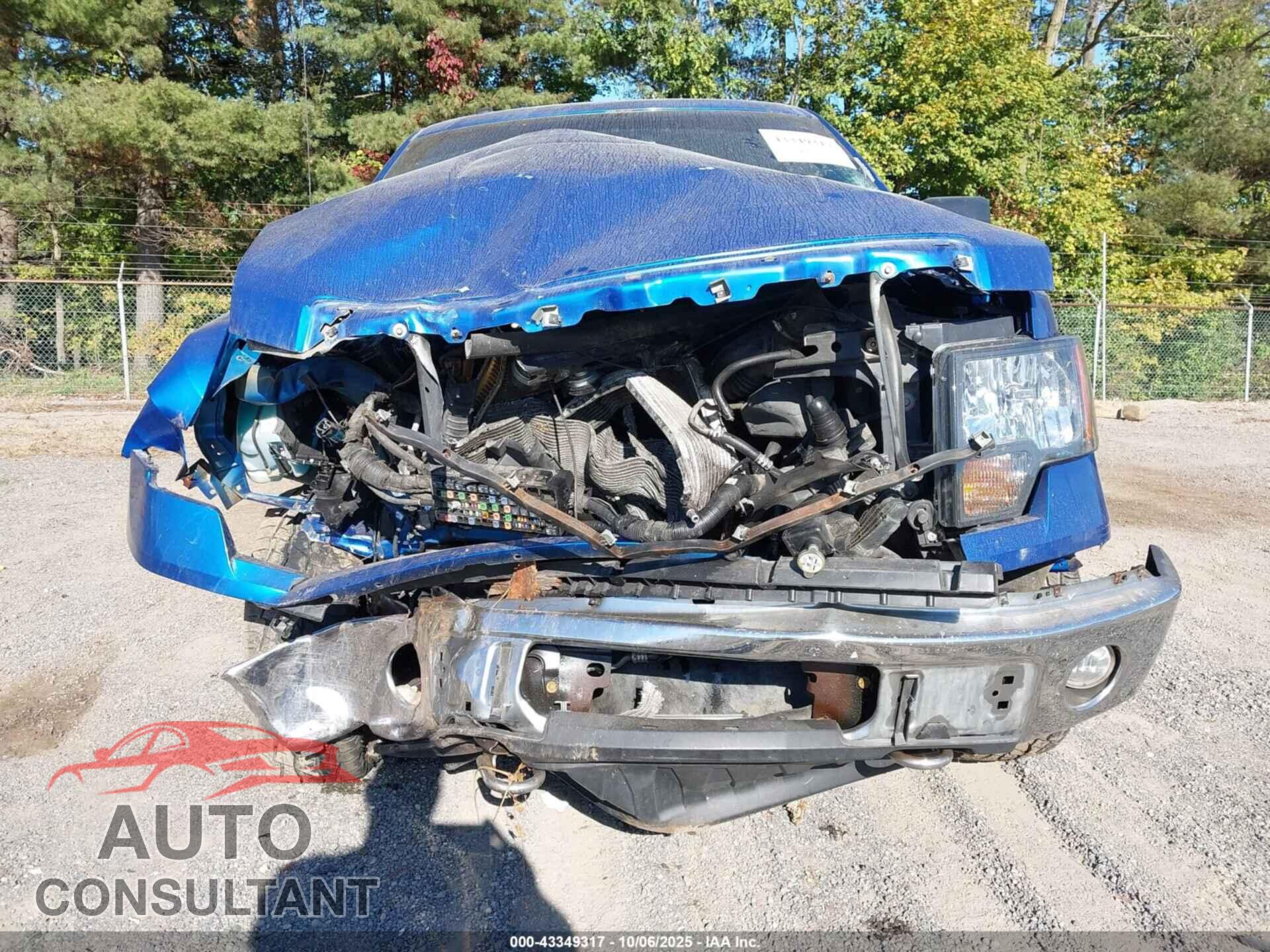 FORD F-150 2010 - 1FTFW1EV9AFD41382