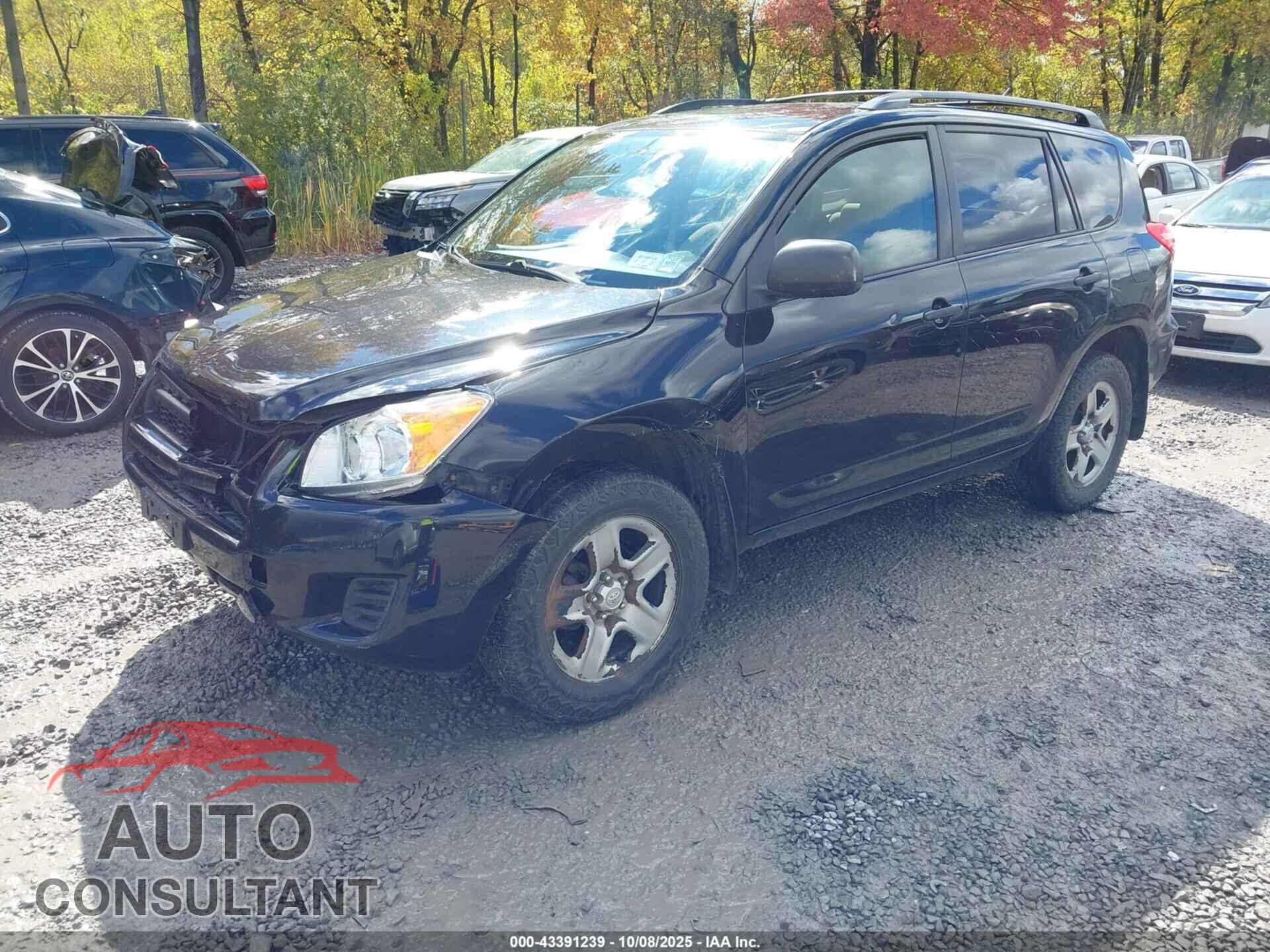 TOYOTA RAV4 2010 - 2T3BF4DV2AW073890