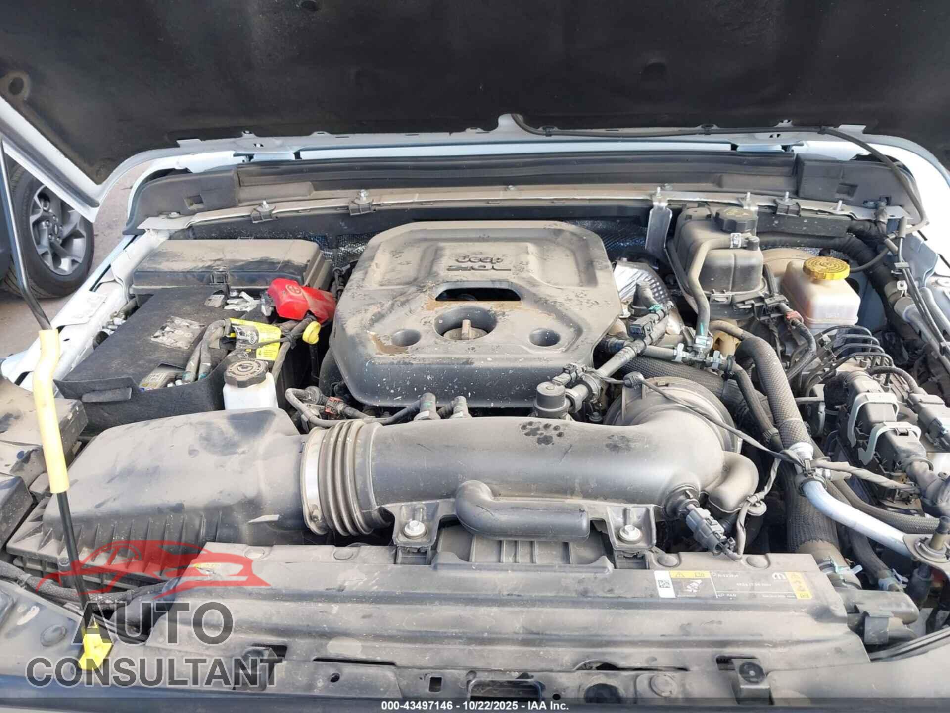 JEEP WRANGLER 2024 - 1C4PJXEN3RW114464